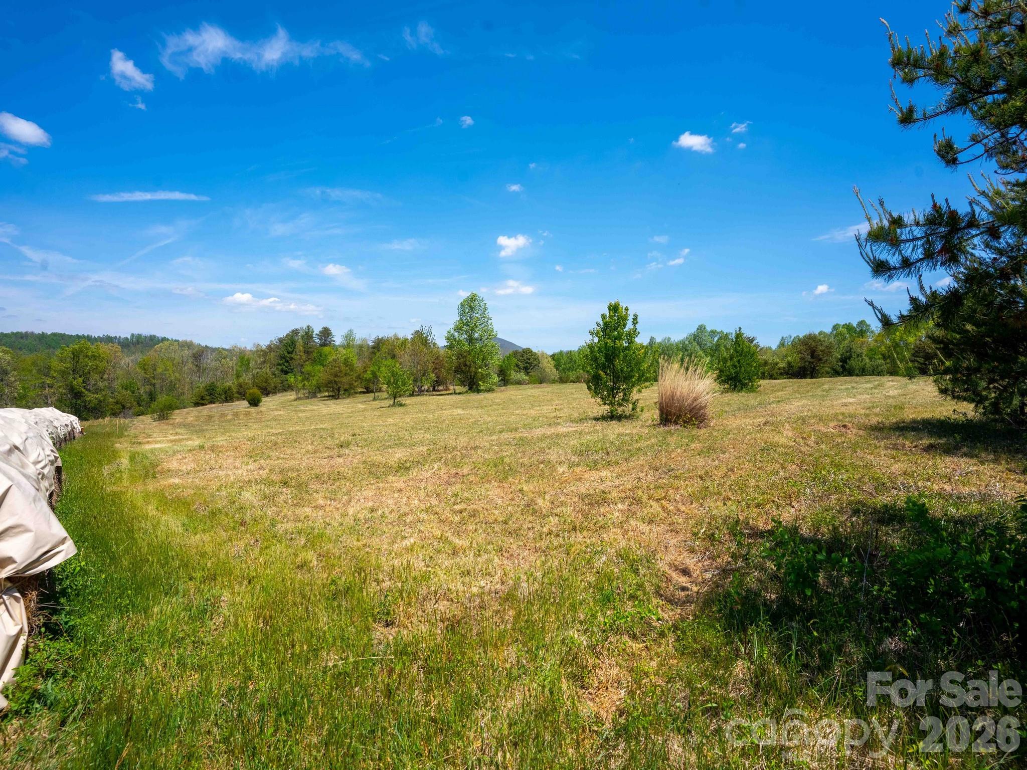 Acreage at 3670 Summer Road, Hendersonville, photo 3 of 22
