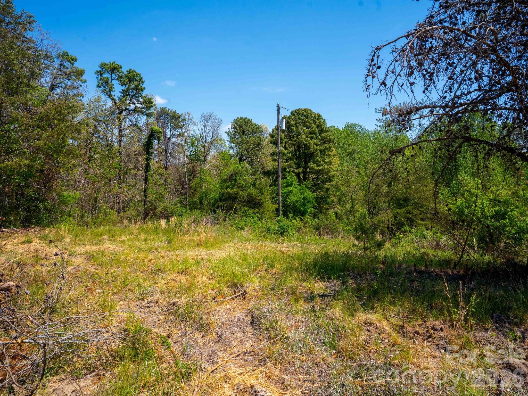 Acreage at 3670 Summer Road, Hendersonville, photo 4 of 22