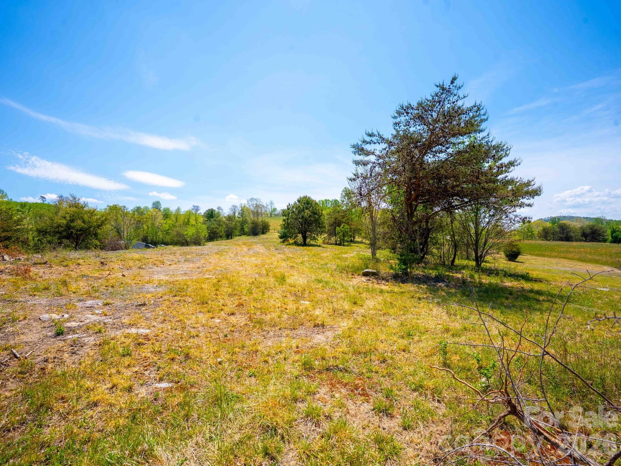 Acreage at 3670 Summer Road, Hendersonville, photo 5 of 22