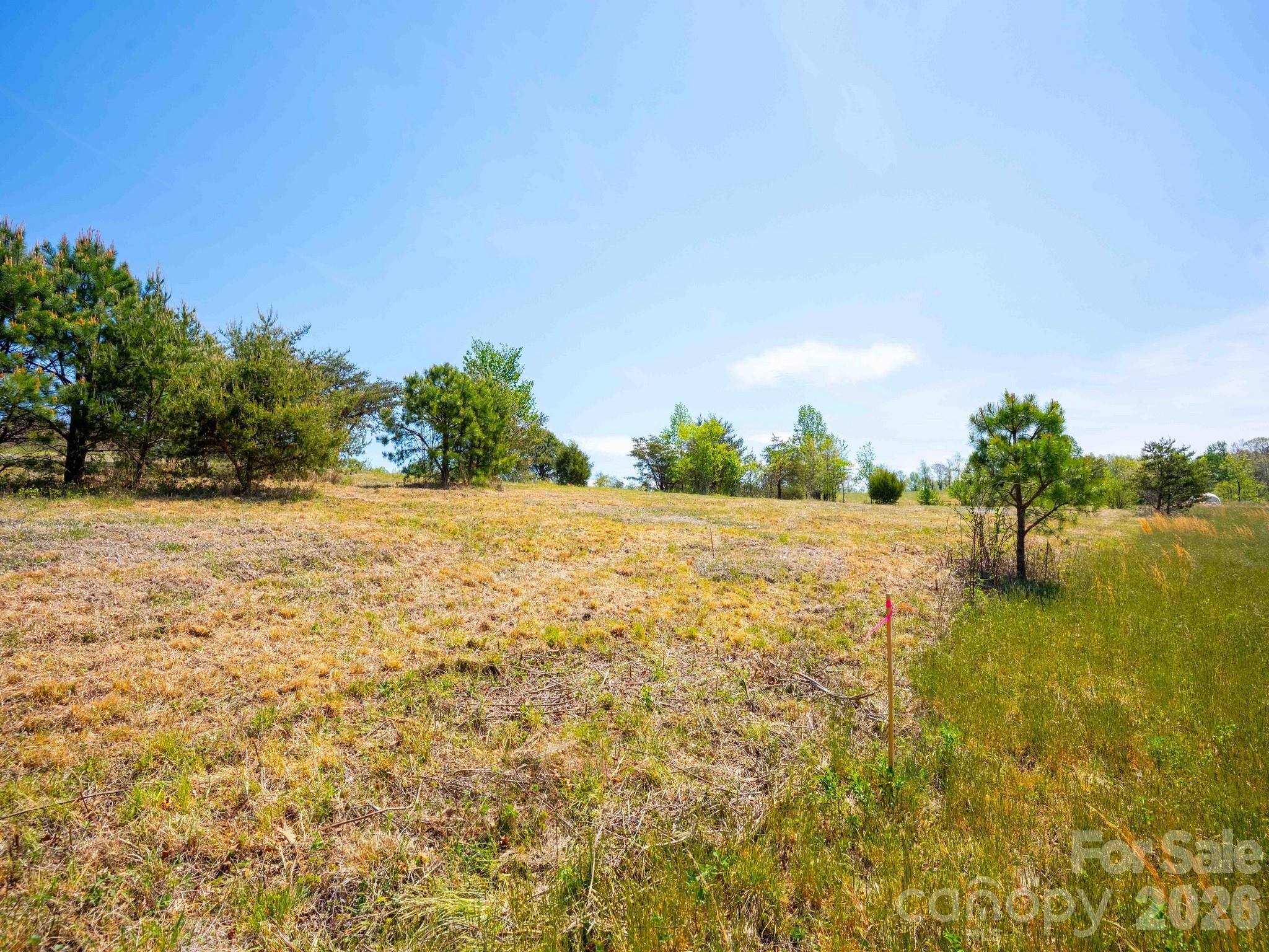 Acreage at 3670 Summer Road, Hendersonville, photo 6 of 22