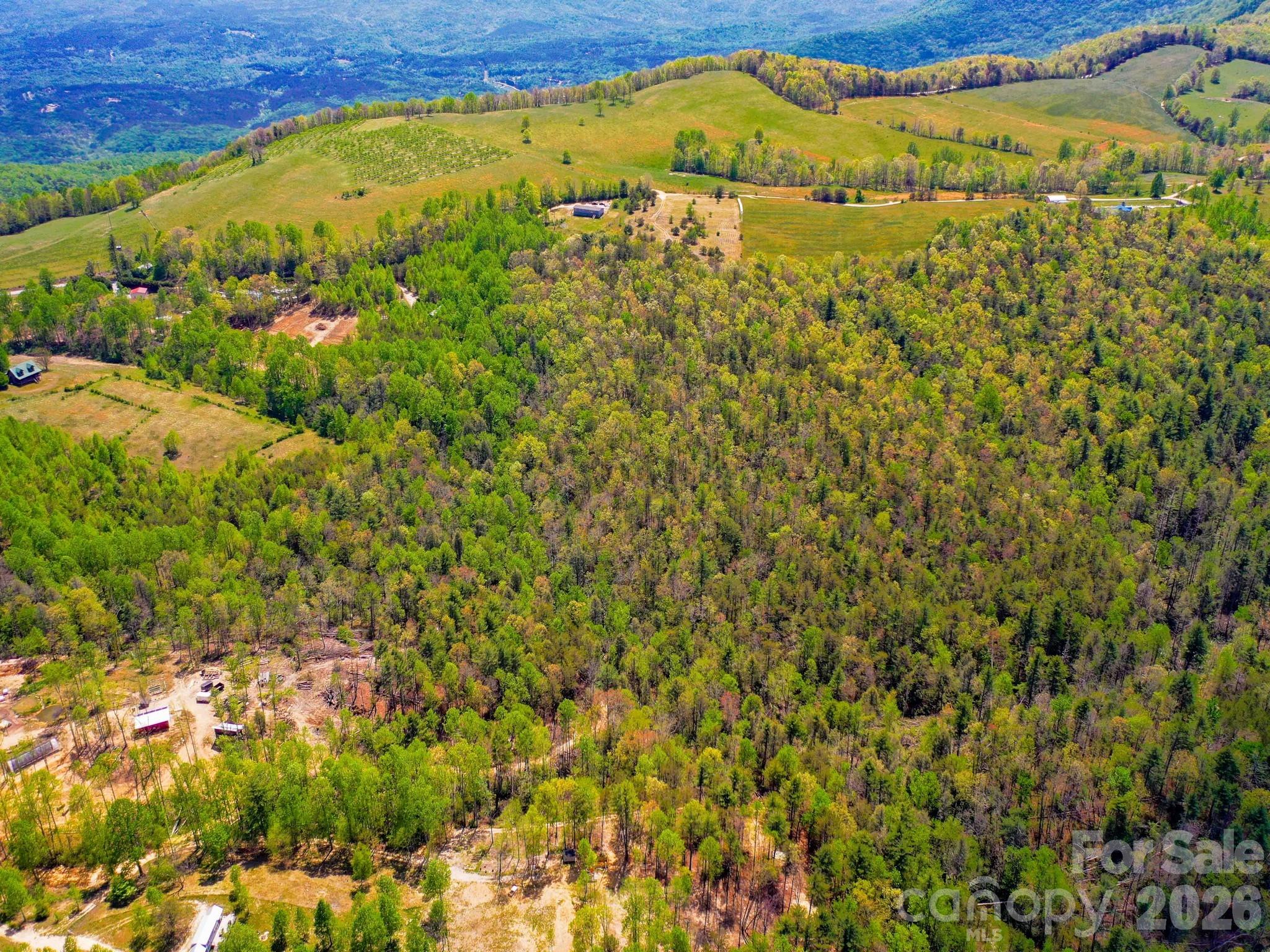 Acreage at 3670 Summer Road, Hendersonville, photo 10 of 22
