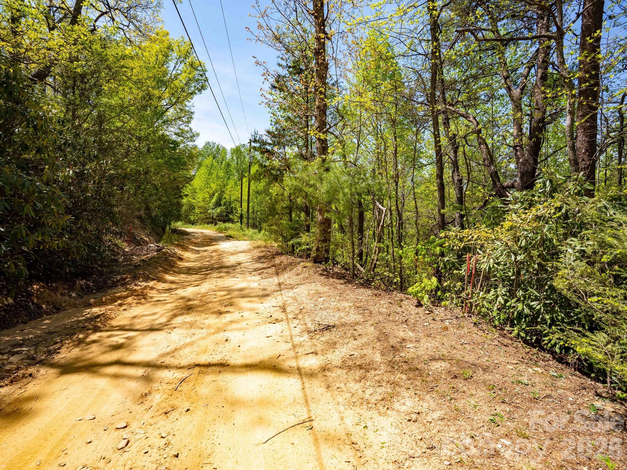 Acreage at 3670 Summer Road, Hendersonville, photo 21 of 22