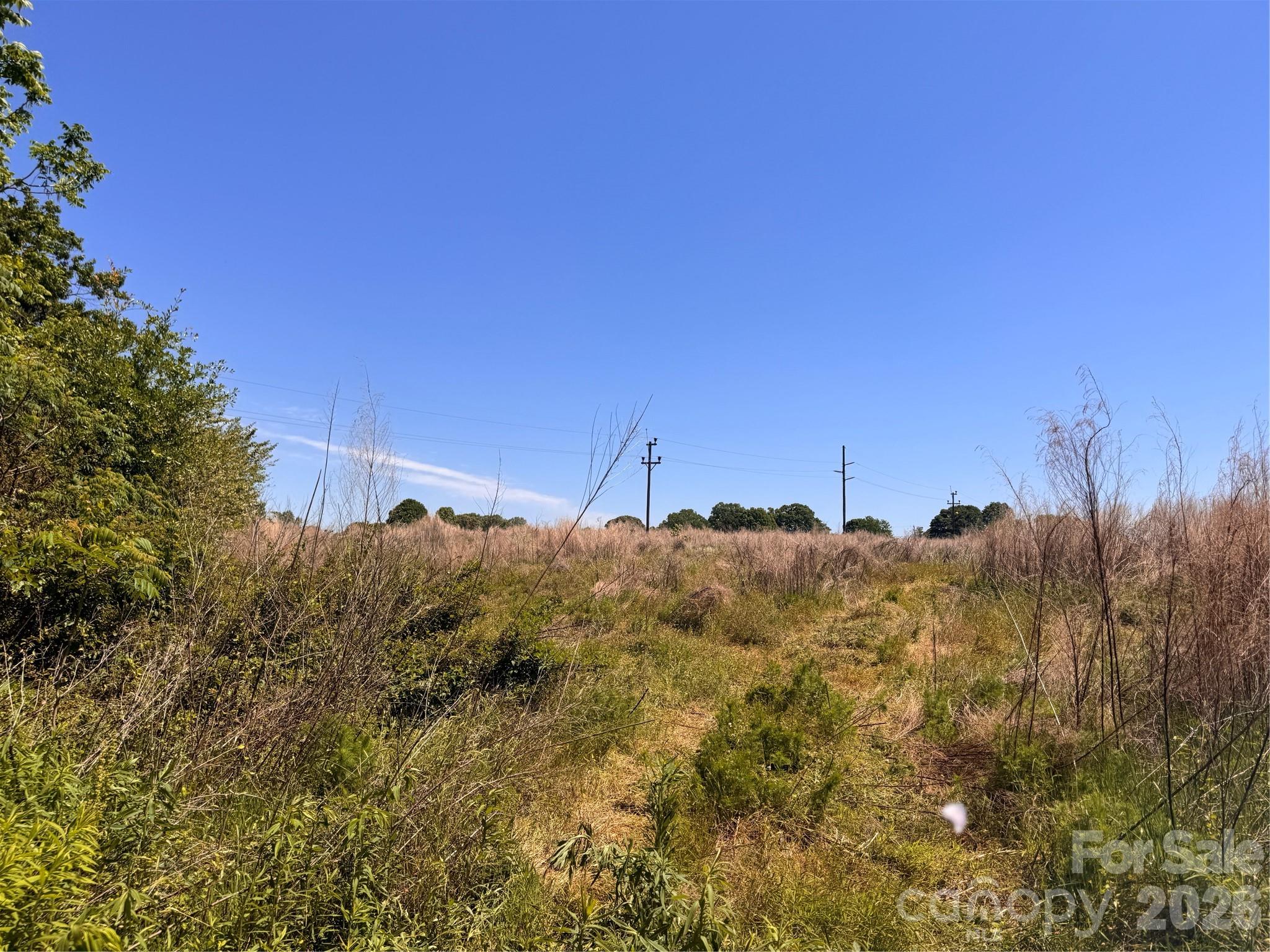 Acreage at 00 Oxford School Road, Claremont, photo 2 of 28