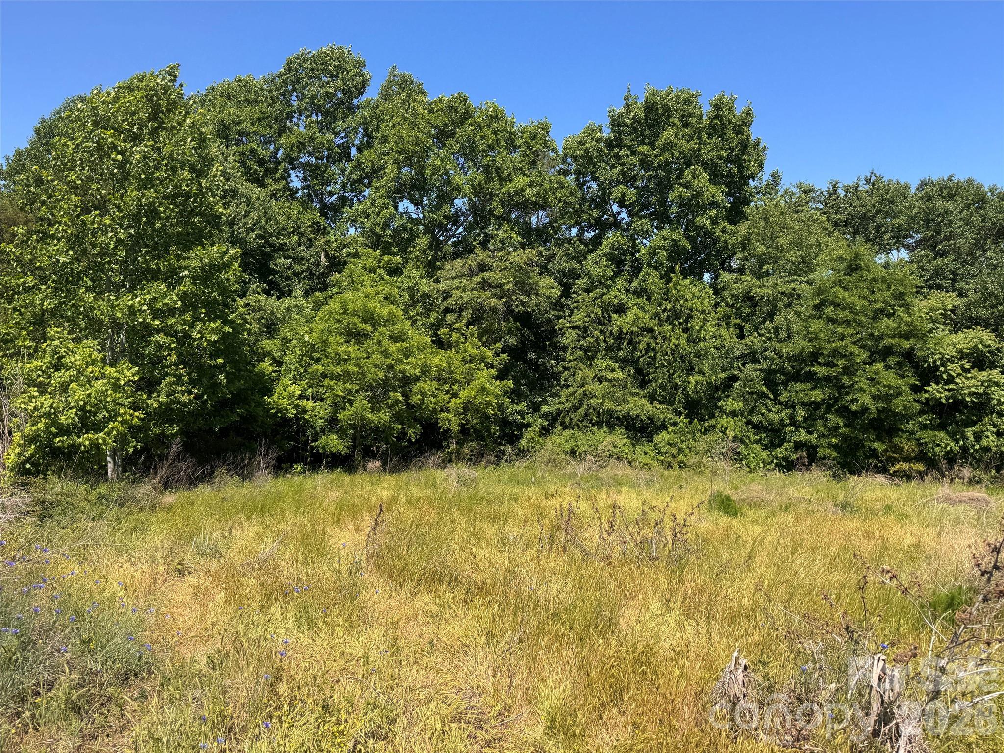 Acreage at 00 Oxford School Road, Claremont, photo 4 of 28