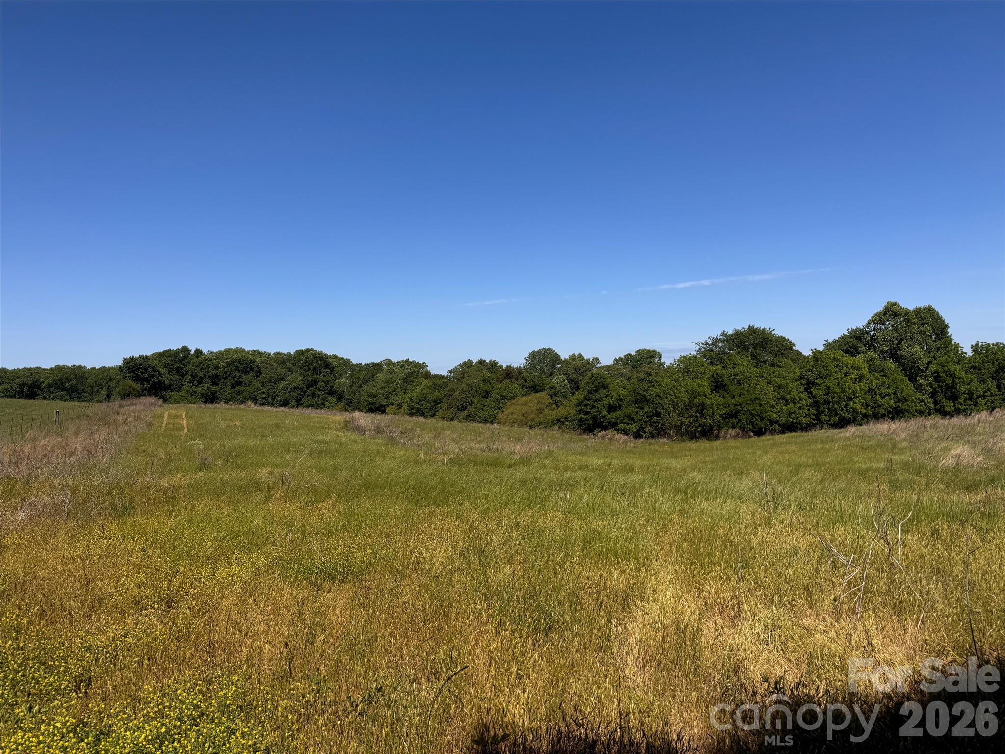 Acreage at 00 Oxford School Road, Claremont, photo 5 of 28