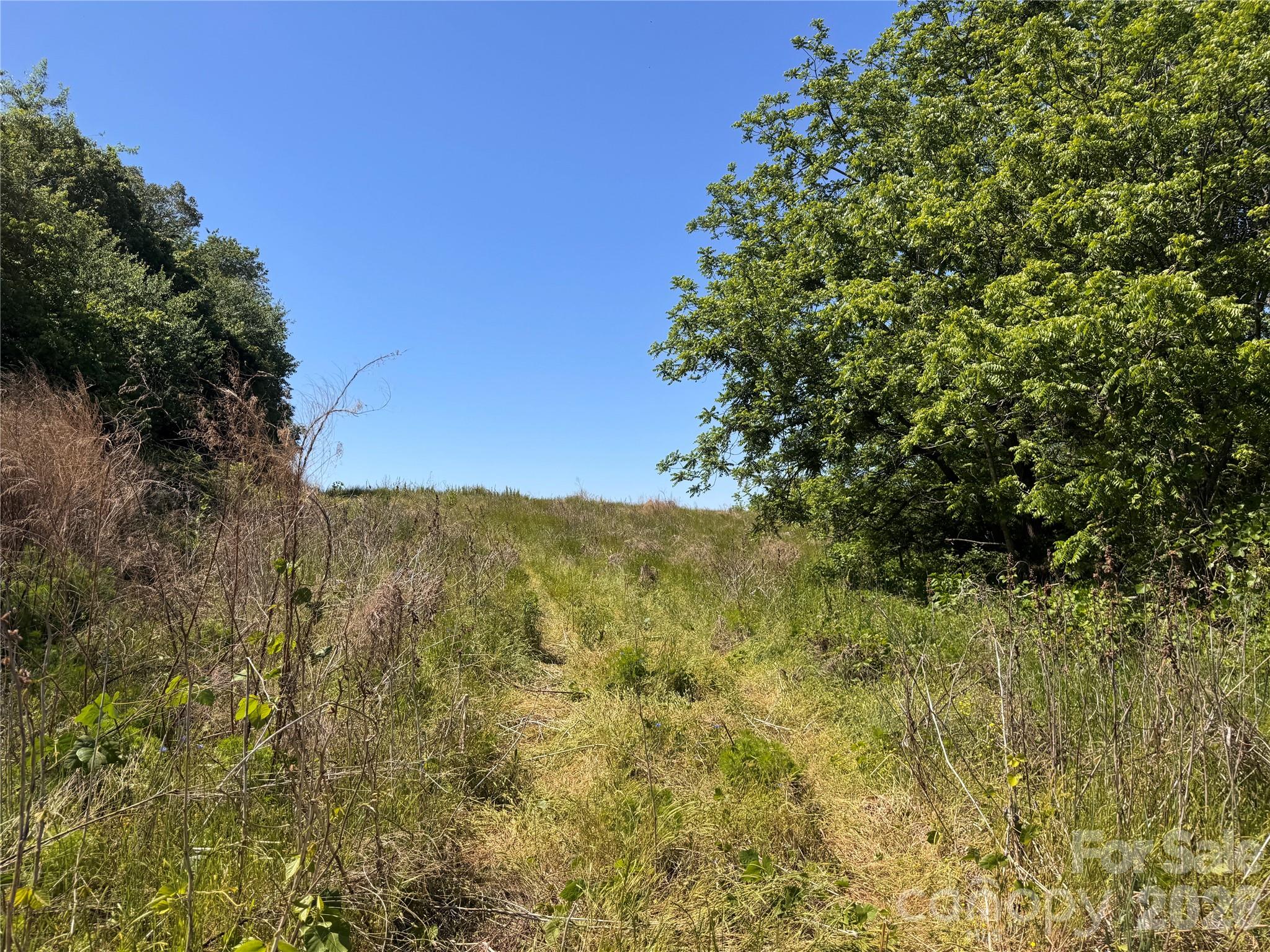 Acreage at 00 Oxford School Road, Claremont, photo 8 of 28