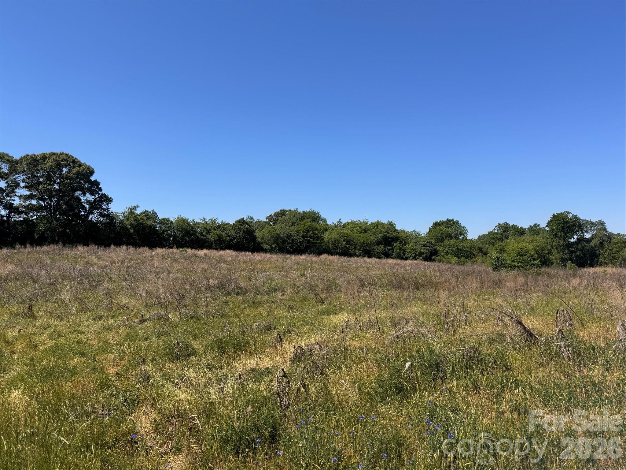 Acreage at 00 Oxford School Road, Claremont, photo 11 of 28