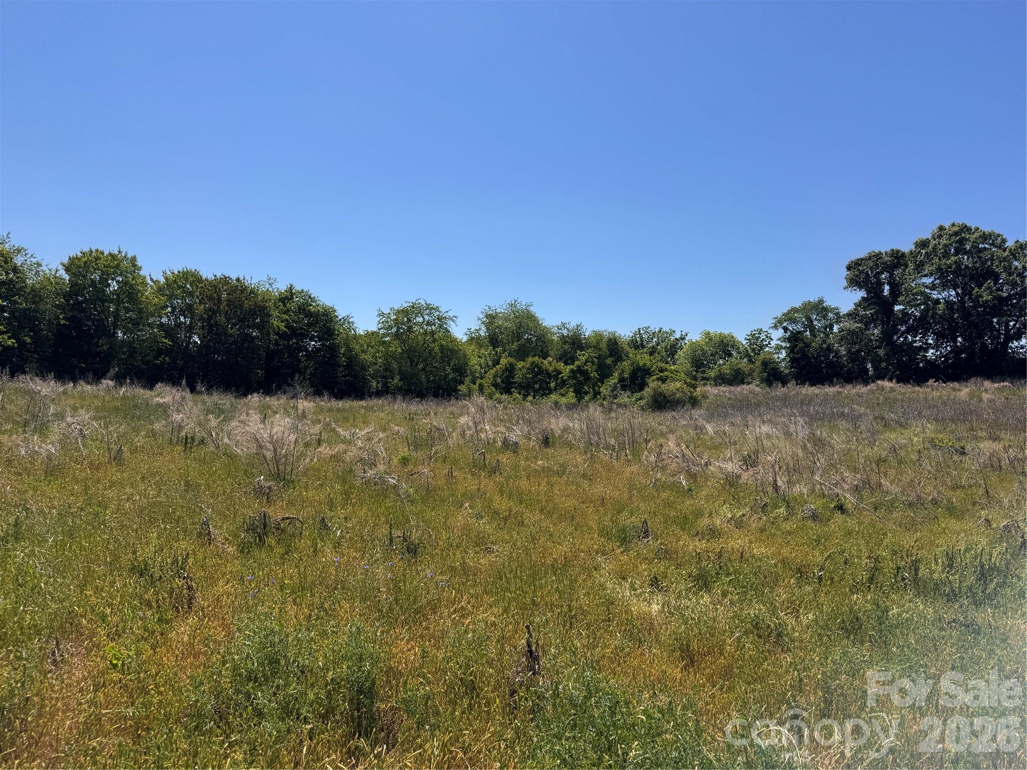 Acreage at 00 Oxford School Road, Claremont, photo 12 of 28
