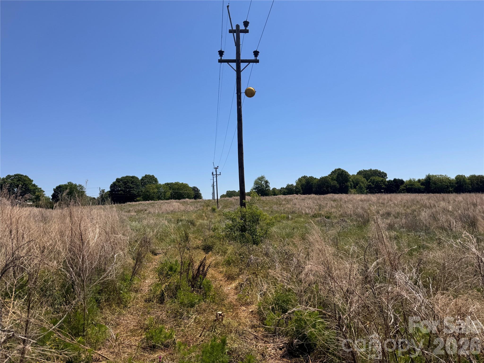 Acreage at 00 Oxford School Road, Claremont, photo 14 of 28