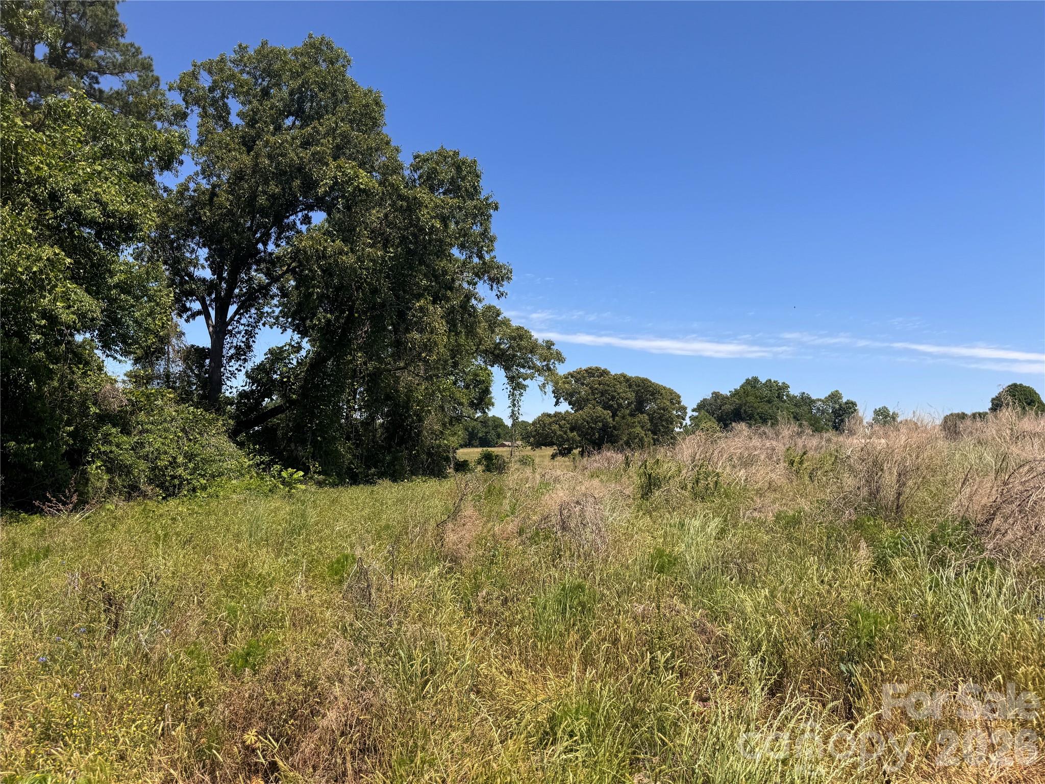 Acreage at 00 Oxford School Road, Claremont, photo 16 of 28