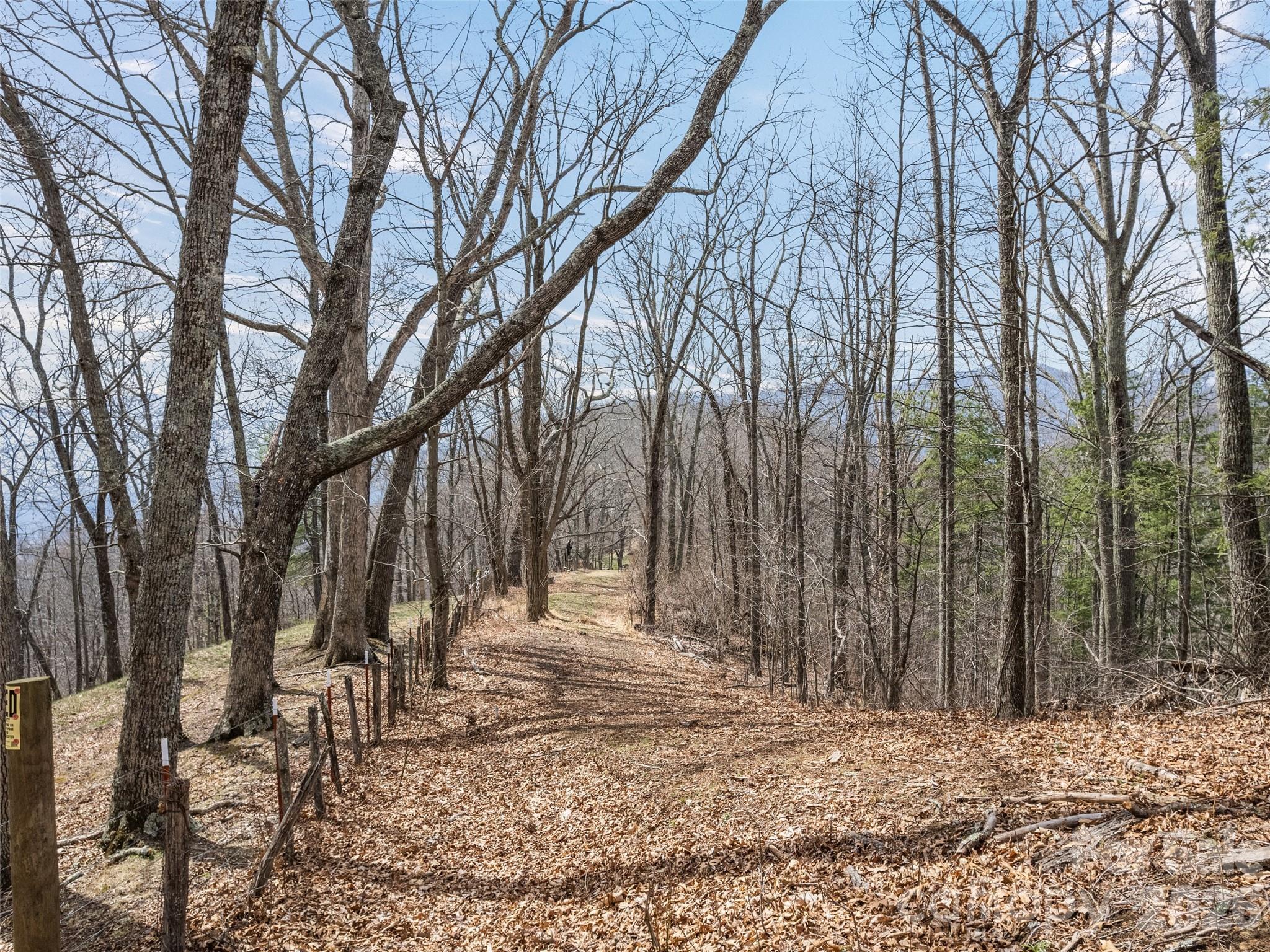 Single Family Residence at 415 Treetop Lane, Waynesville, photo 36 of 47