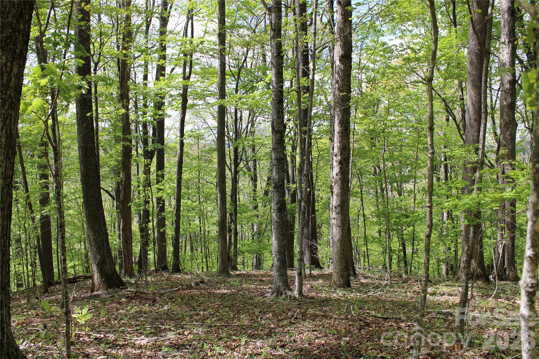 Acreage at TBD US 23 Highway, Mars Hill, photo 7 of 23