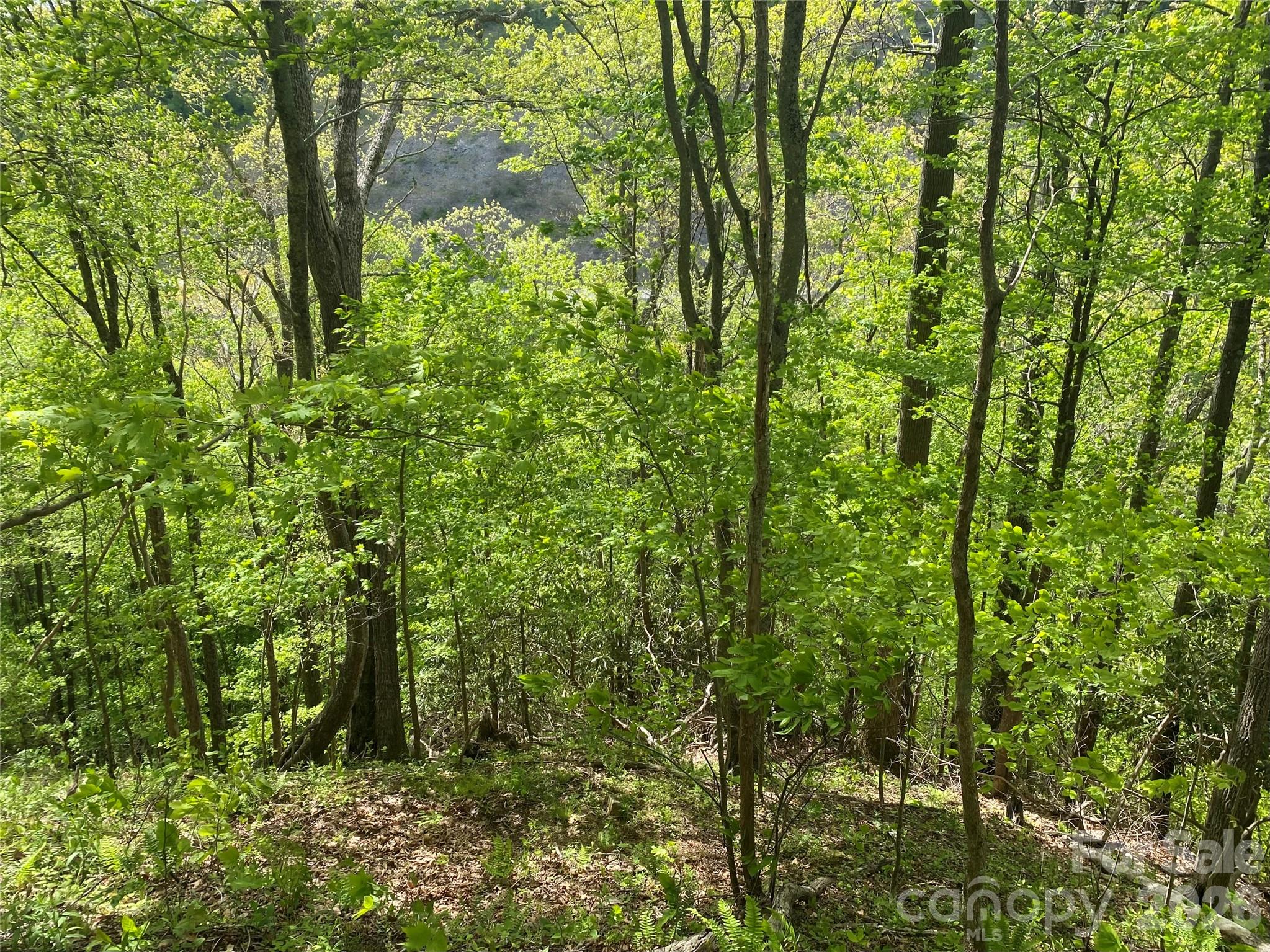 Acreage at TBD US 23 Highway, Mars Hill, photo 16 of 23