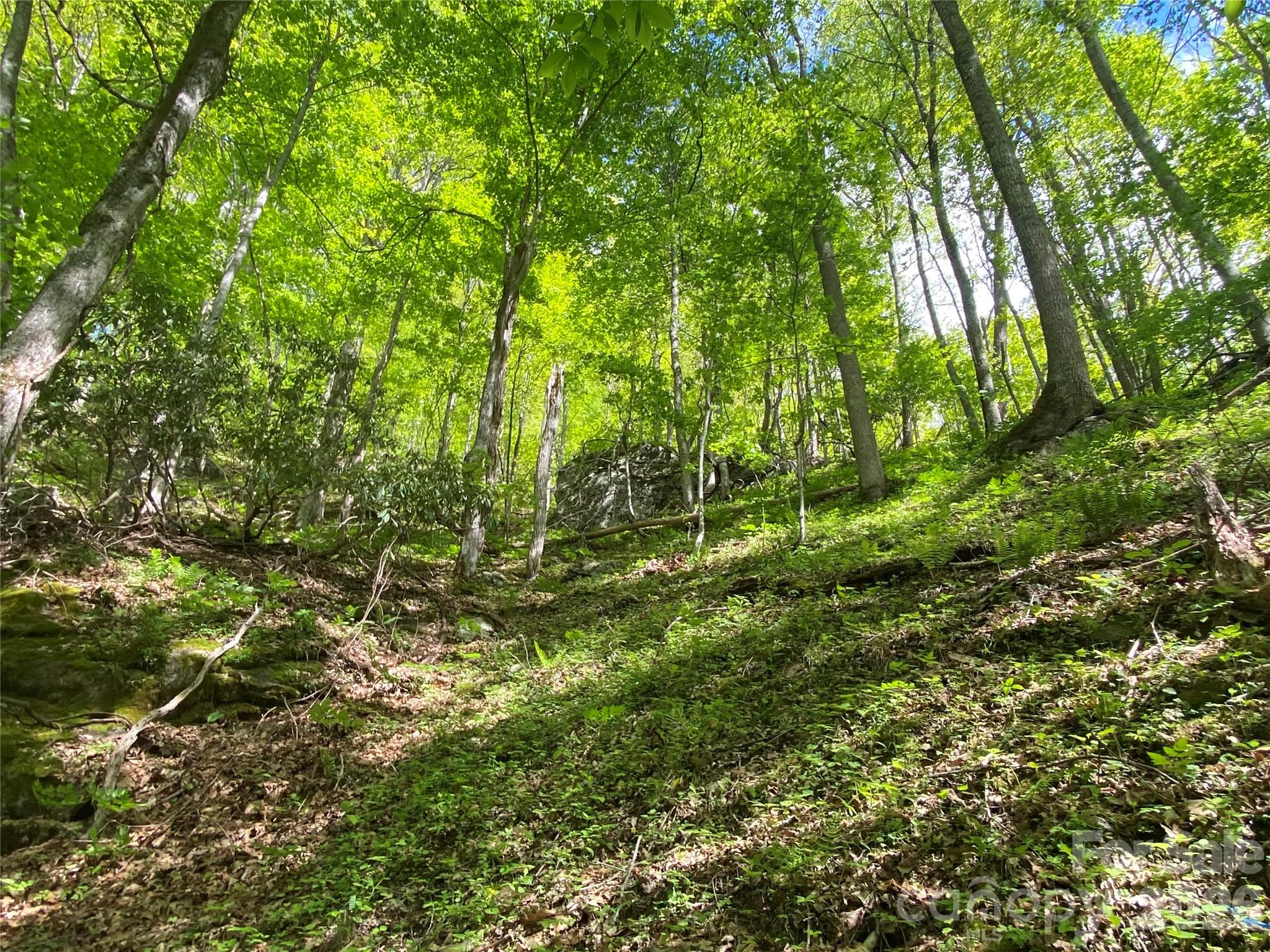 Acreage at TBD US 23 Highway, Mars Hill, photo 20 of 23