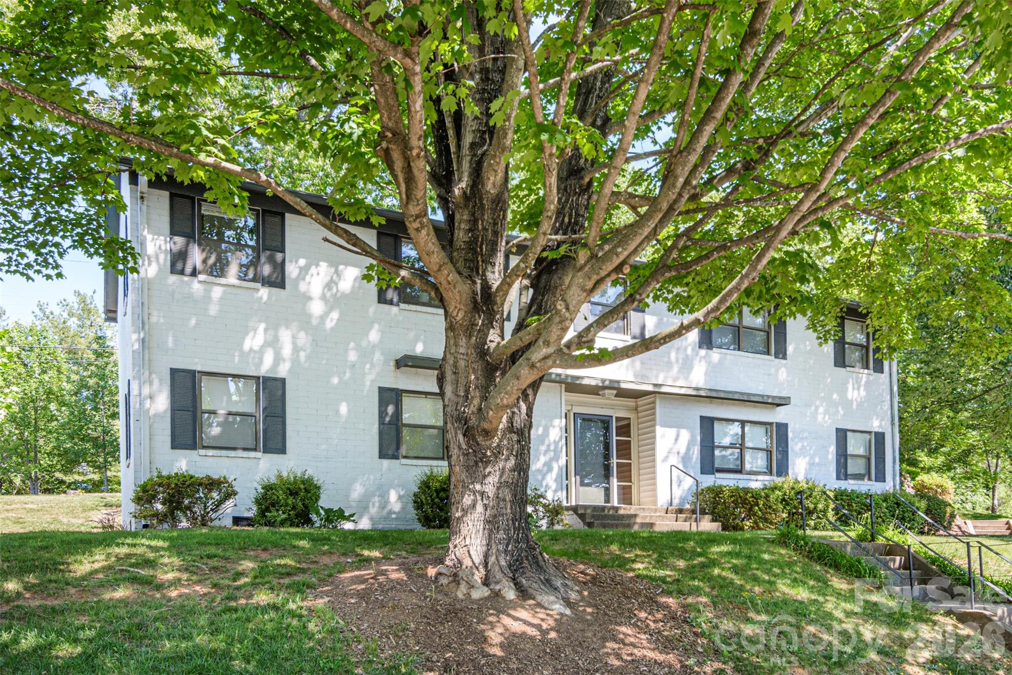 Lovely Grounds - 615 Biltmore Avenue, Asheville