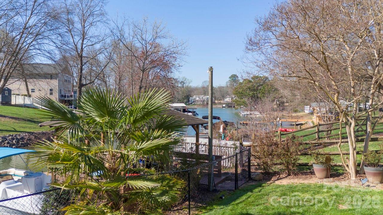 backyard view of cove - 141 Bluewing Lane, Mooresville