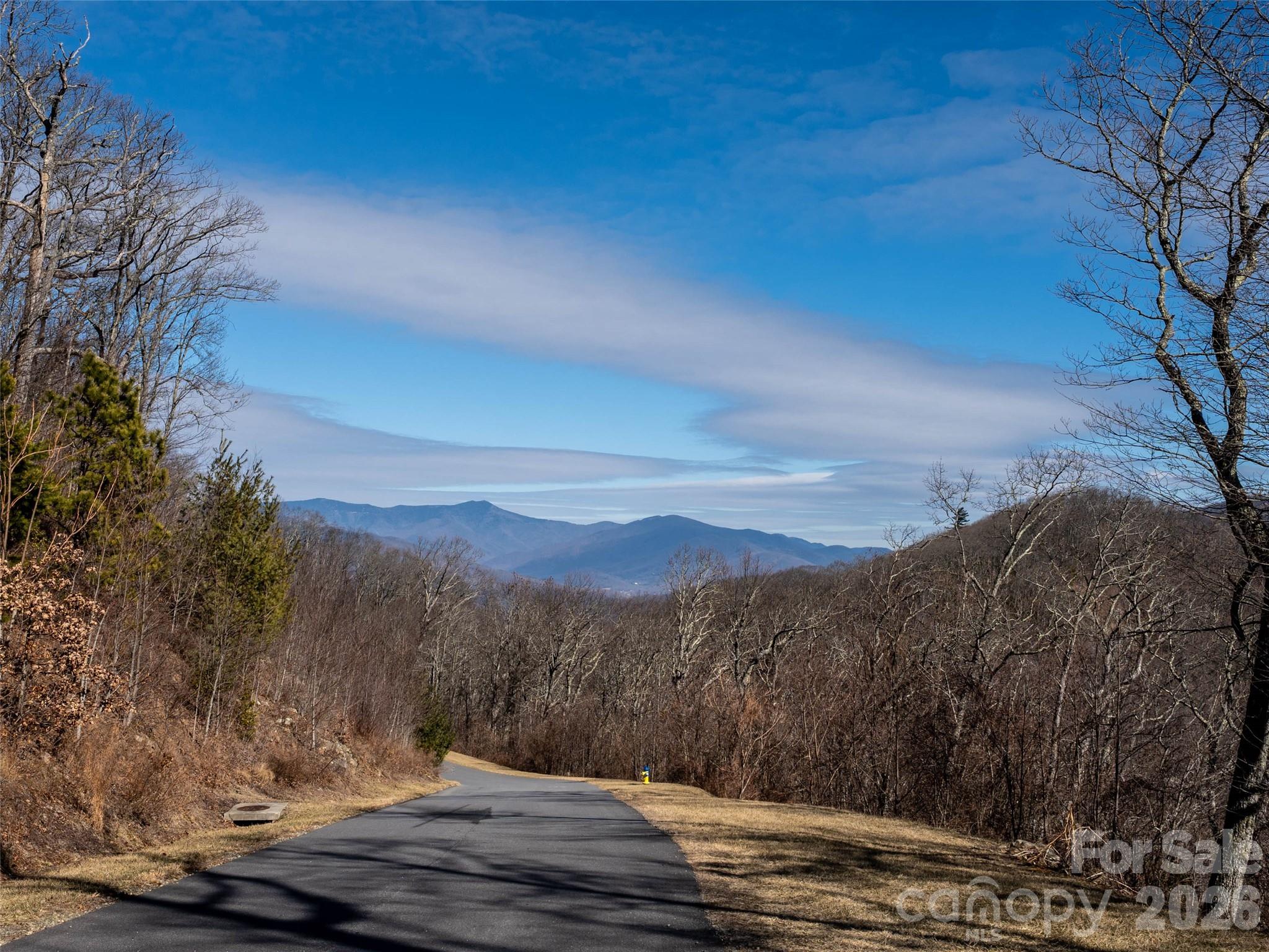 Southcliff Parkway looking towards Mt. Mitchell. - 9998 Southcliff Parkway, Fairview