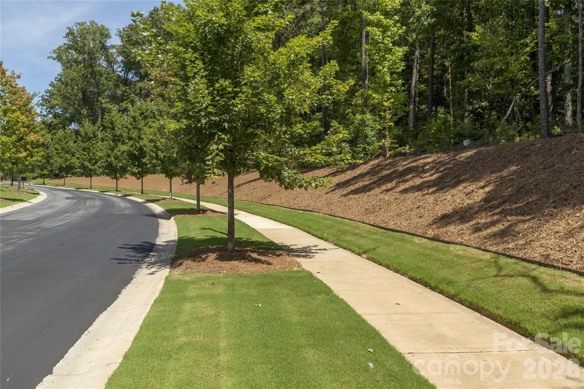 Single Family Residence at 1210 Therns Ferry Drive, Fort Mill, photo 43 of 44