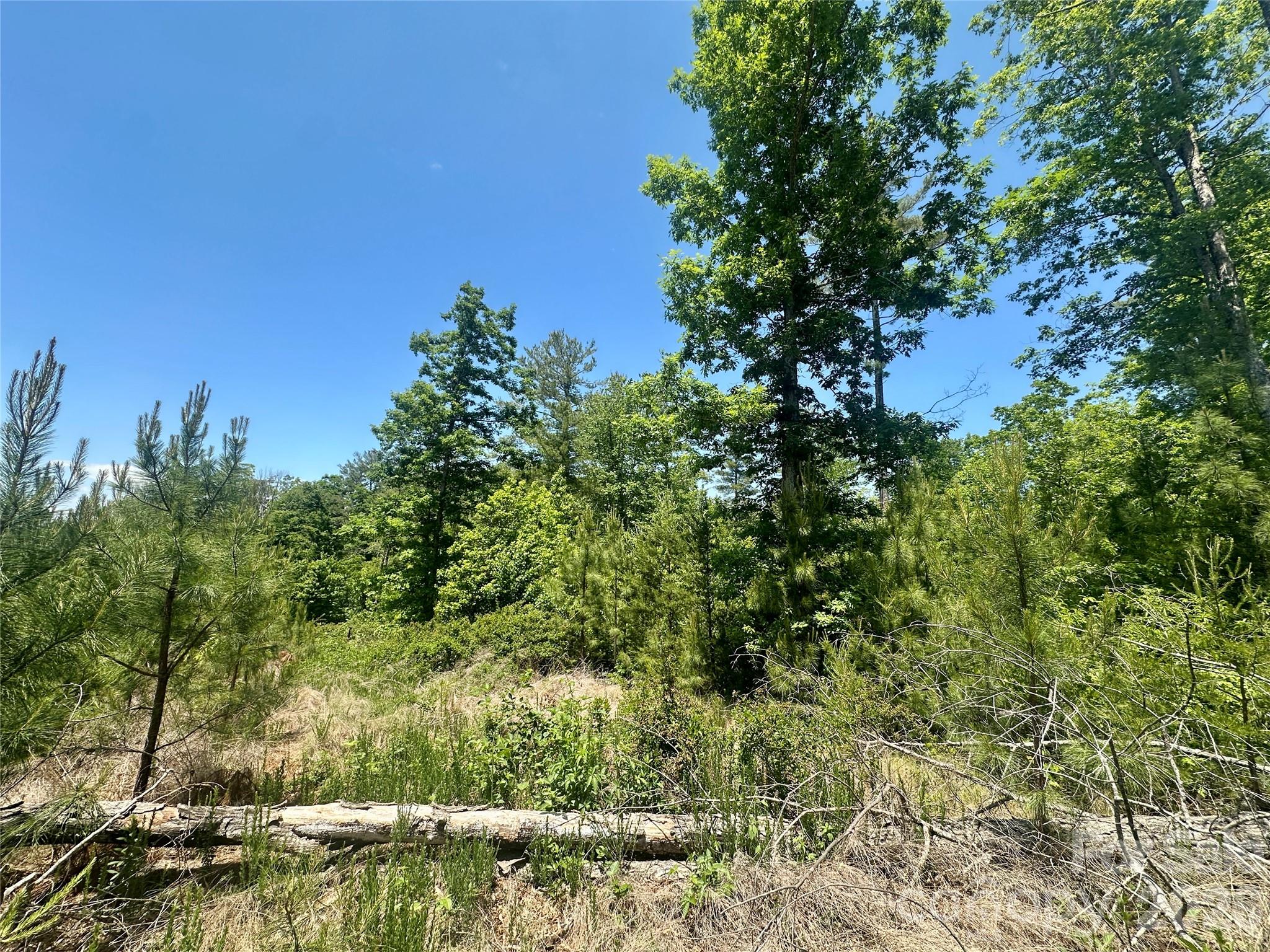 Lot at 200 Westward Drive, Granite Falls, photo 2 of 9
