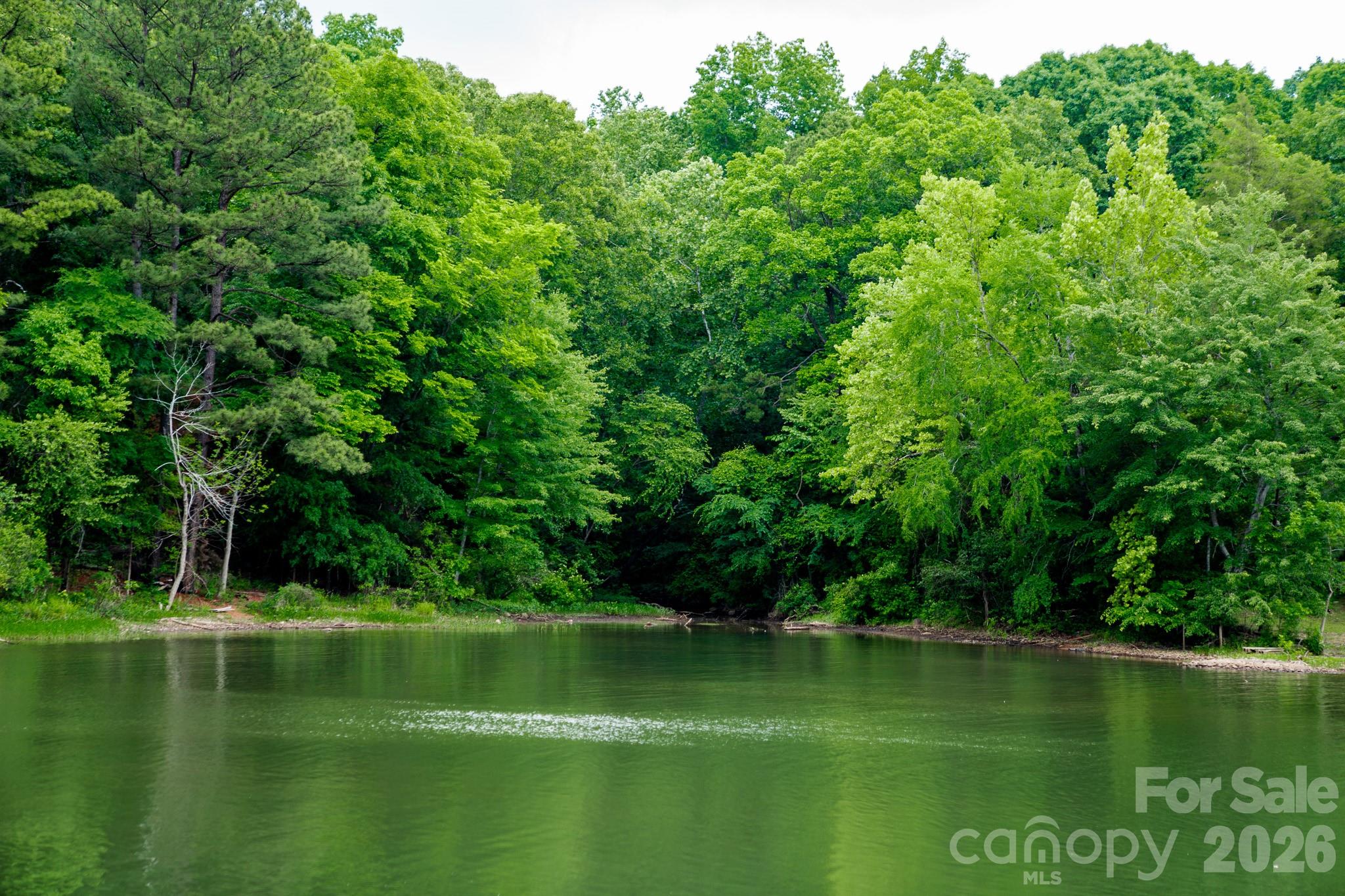 Mountain Island Lake - 6117 Robert Street, Huntersville