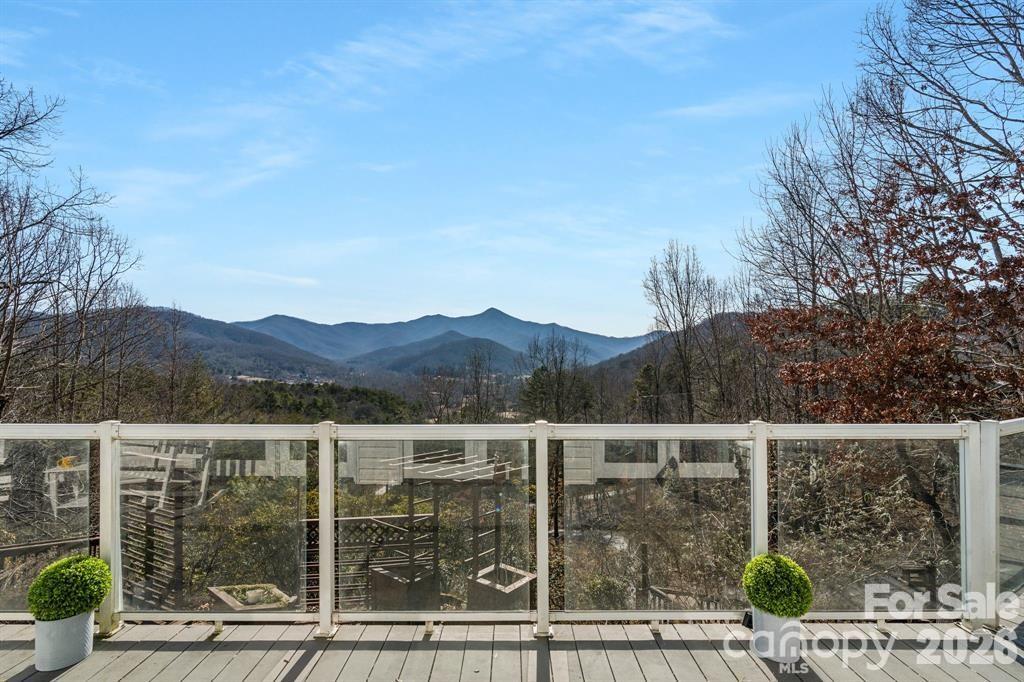Views of Mount Pisgah! - 56 Great Horned Owl Road, Candler