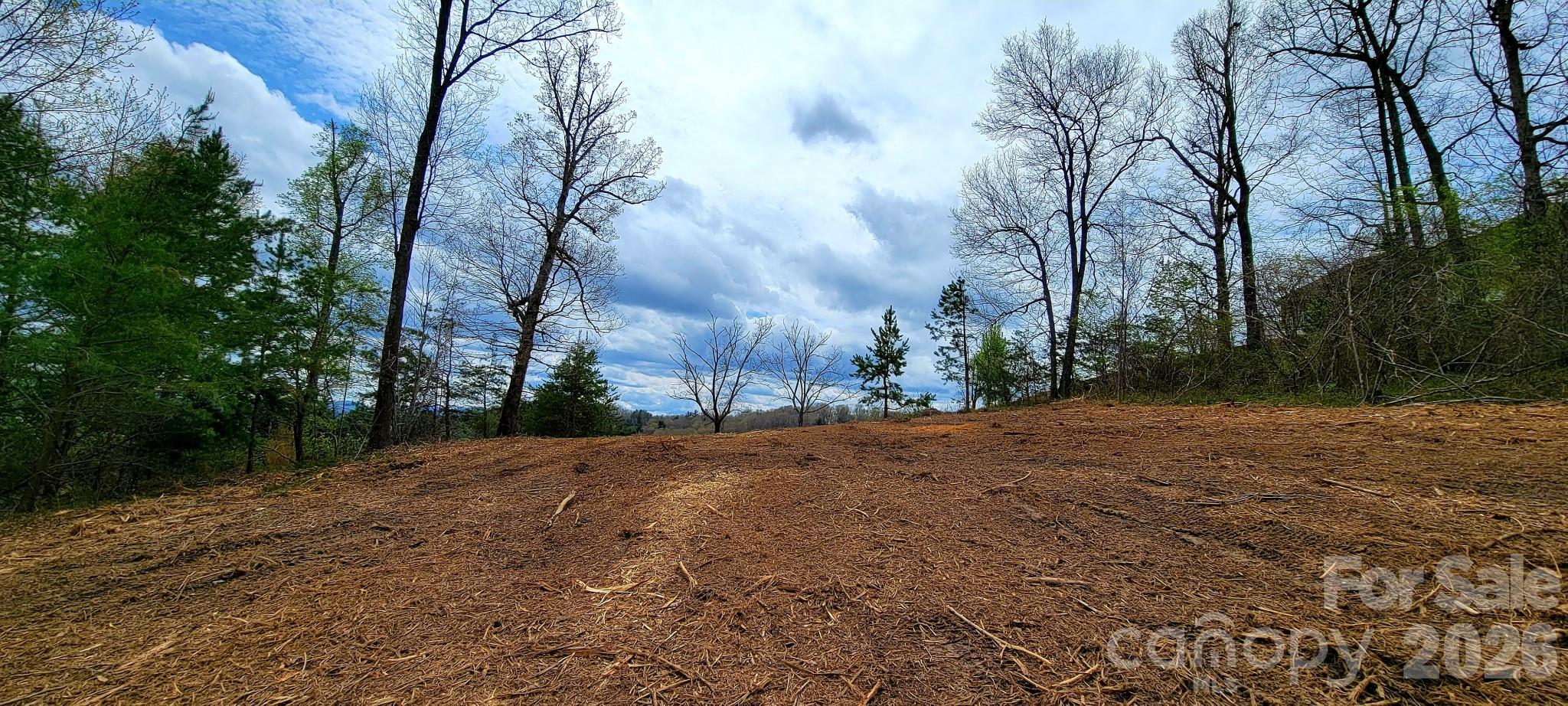 Lot at 8 English Hills Drive, Asheville, photo 8 of 25