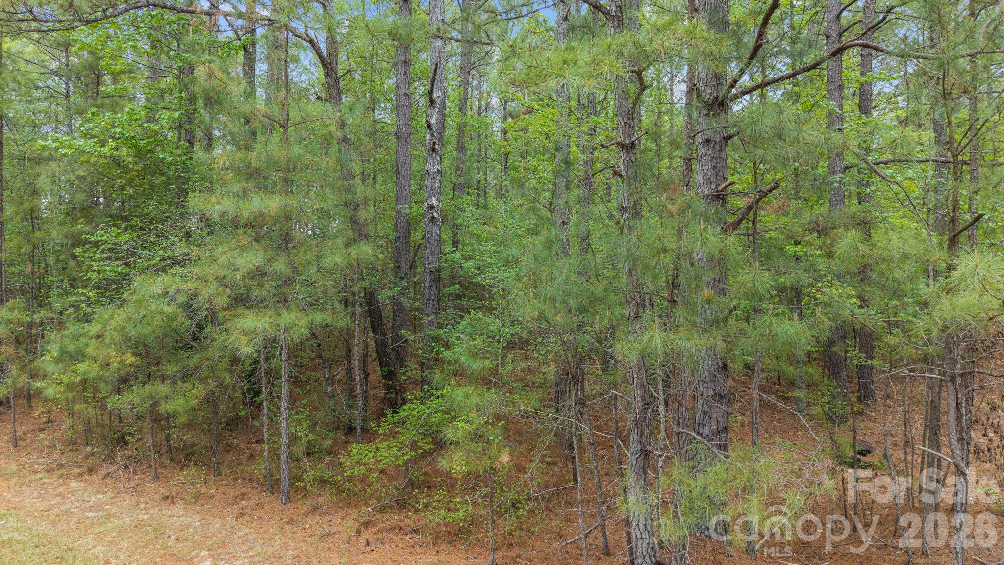 Acreage at Vacant Davis Haywood Road, Mount Gilead, photo 2 of 2