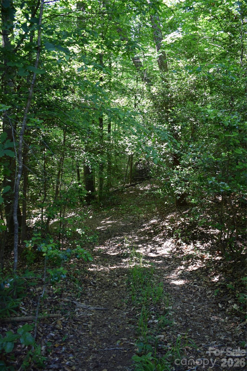 Acreage at 0 Floyd Blackwell Road, Tryon, photo 2 of 24
