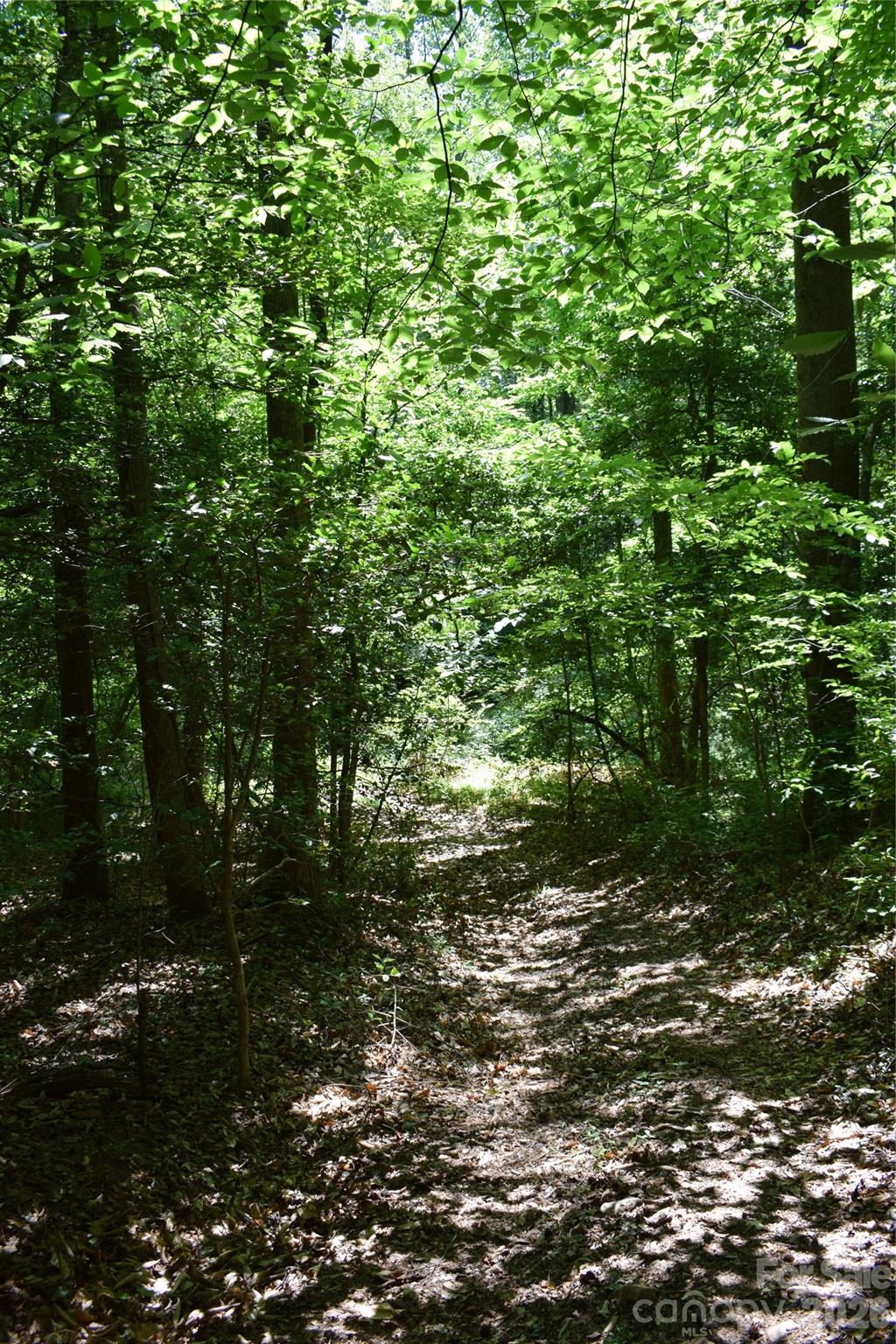 Acreage at 0 Floyd Blackwell Road, Tryon, photo 3 of 24