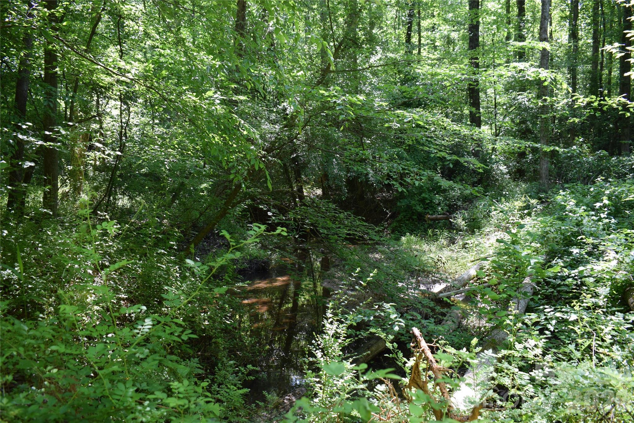 Acreage at 0 Floyd Blackwell Road, Tryon, photo 4 of 24