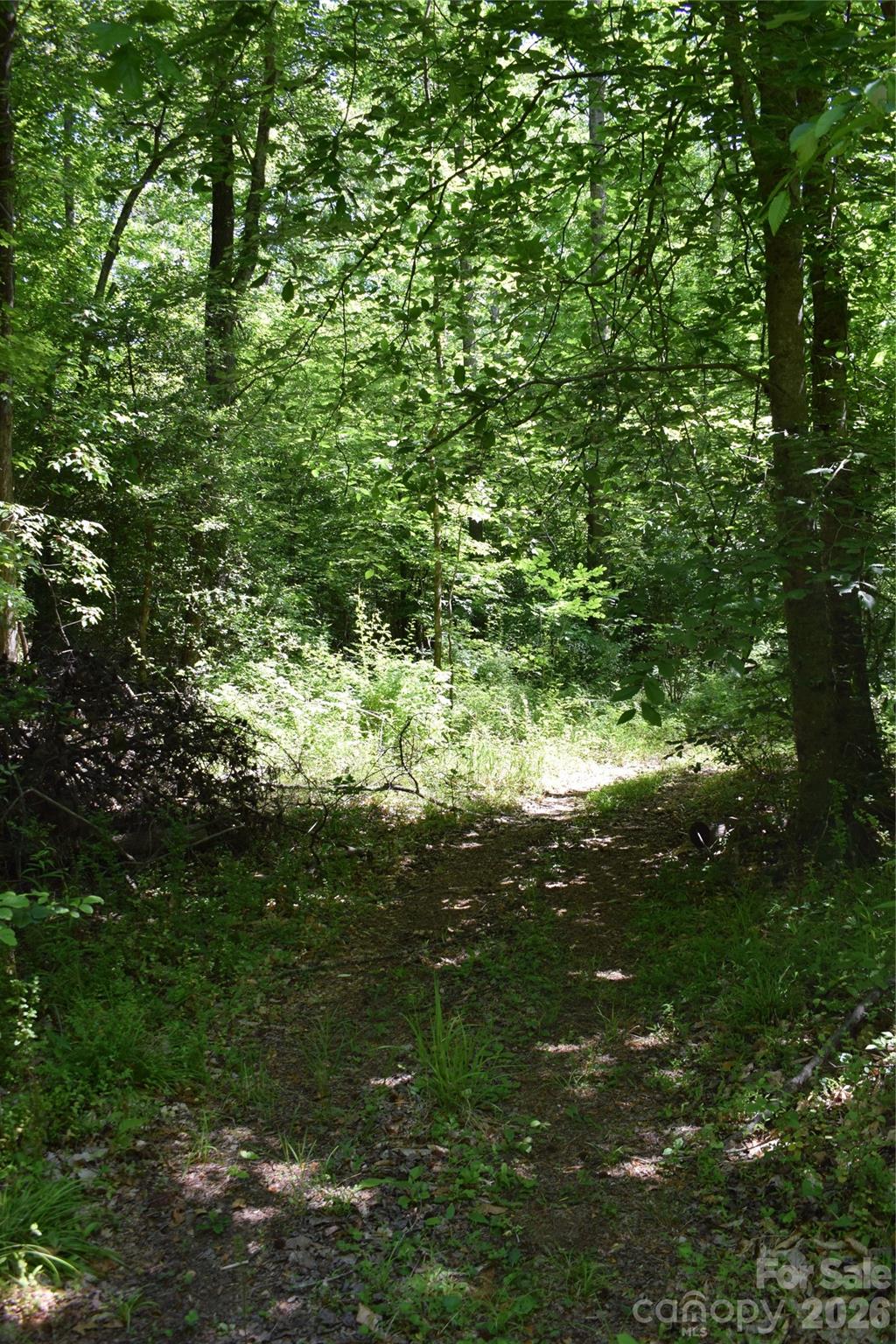 Acreage at 0 Floyd Blackwell Road, Tryon, photo 5 of 24