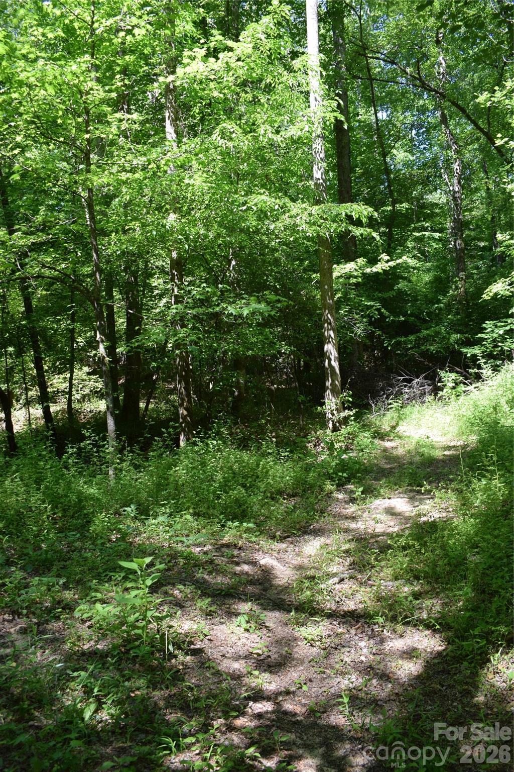 Acreage at 0 Floyd Blackwell Road, Tryon, photo 6 of 24