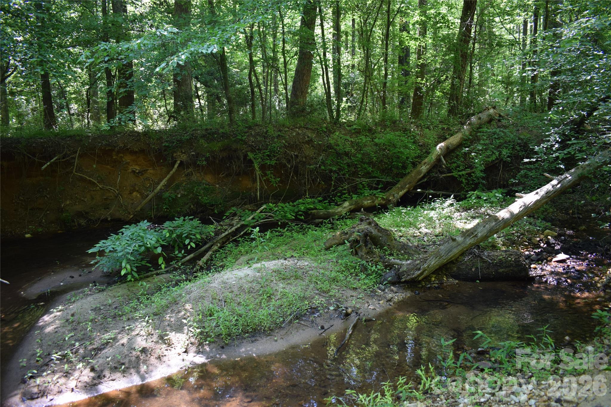 Acreage at 0 Floyd Blackwell Road, Tryon, photo 8 of 24