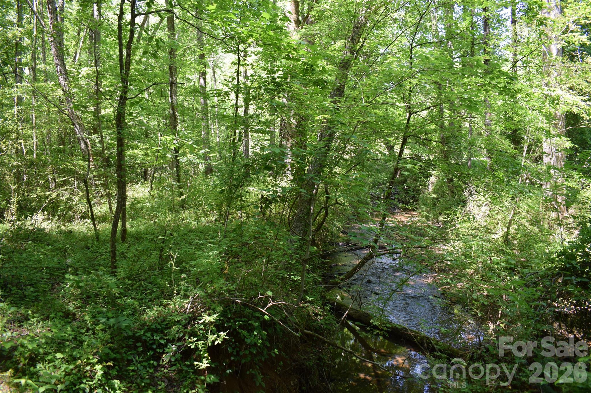 Acreage at 0 Floyd Blackwell Road, Tryon, photo 10 of 24
