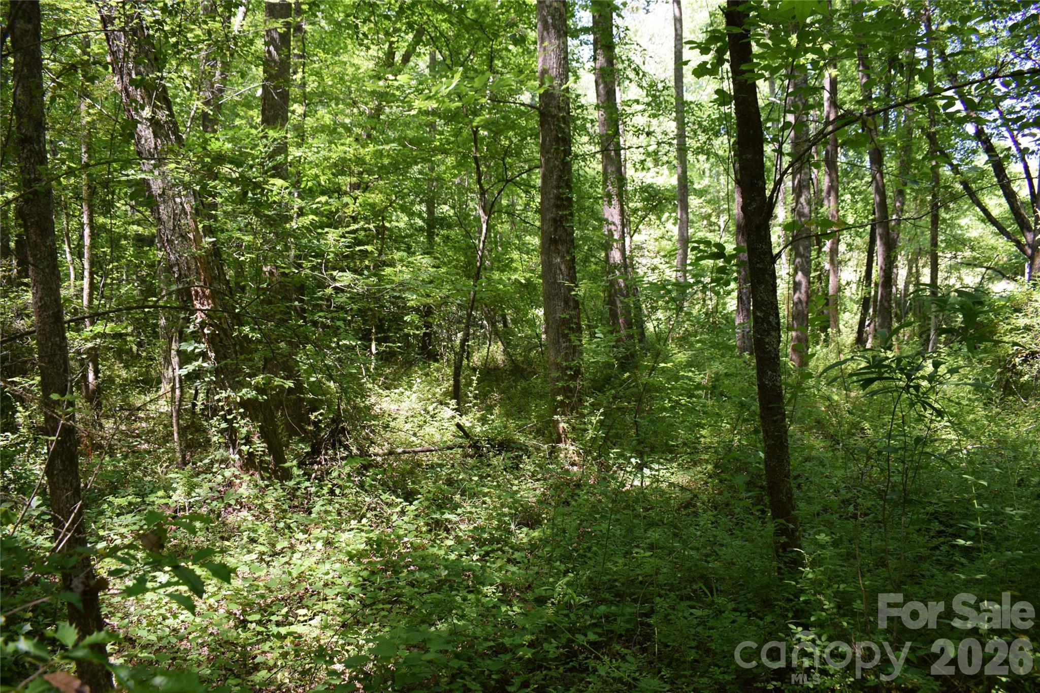 Acreage at 0 Floyd Blackwell Road, Tryon, photo 11 of 24
