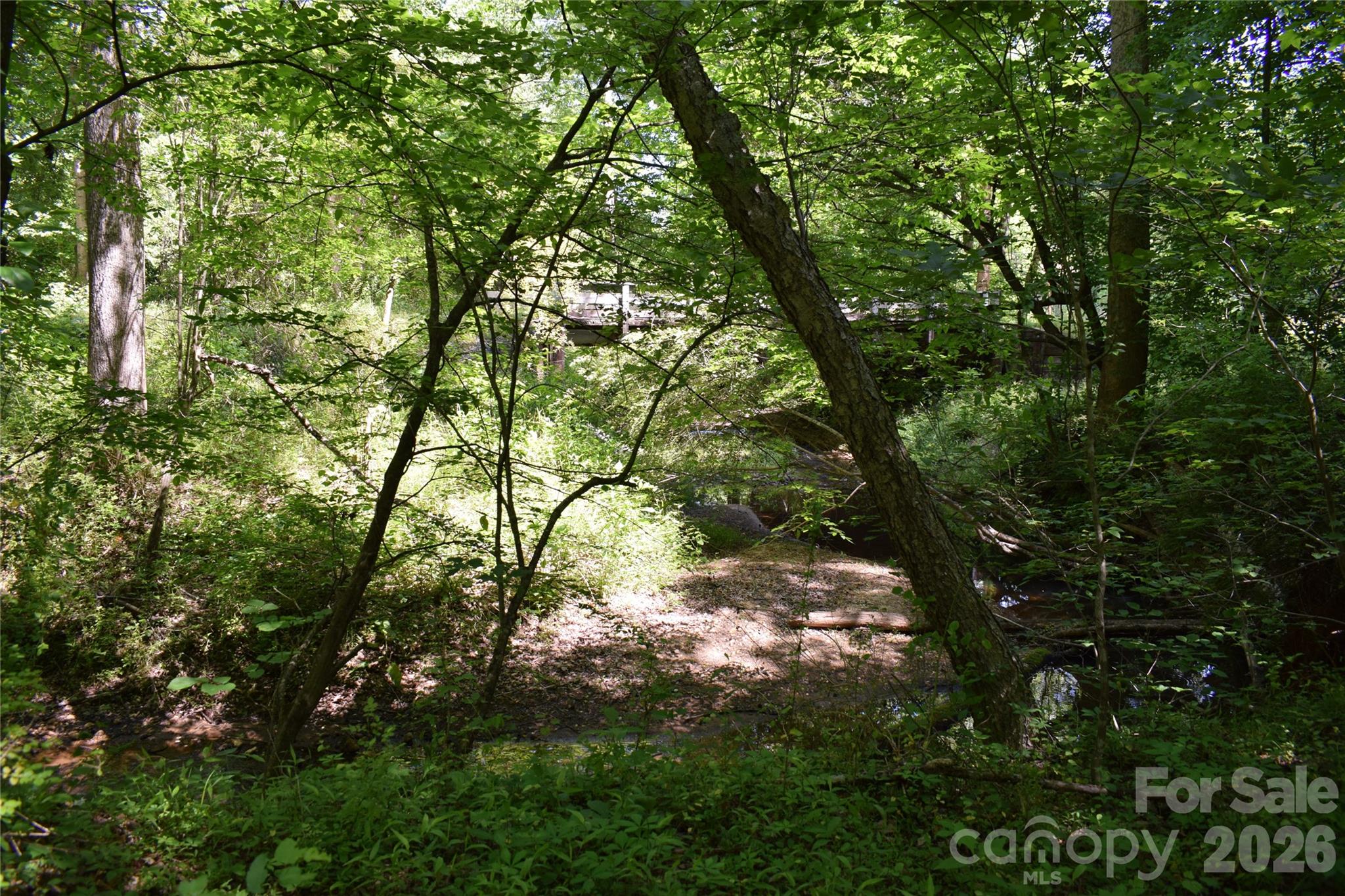 Acreage at 0 Floyd Blackwell Road, Tryon, photo 12 of 24