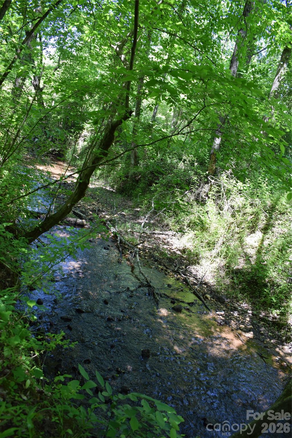 Acreage at 0 Floyd Blackwell Road, Tryon, photo 13 of 24