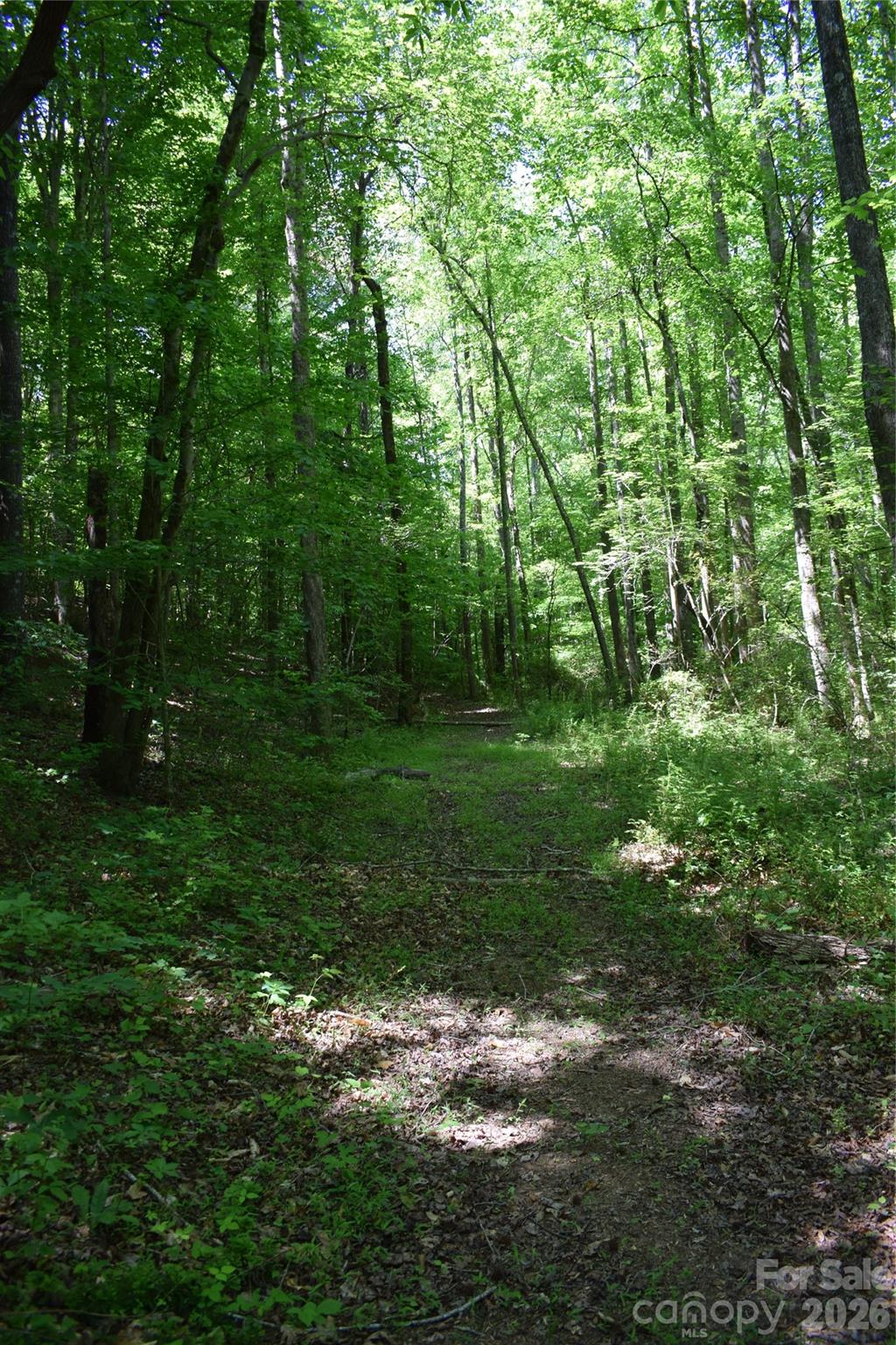 Acreage at 0 Floyd Blackwell Road, Tryon, photo 14 of 24