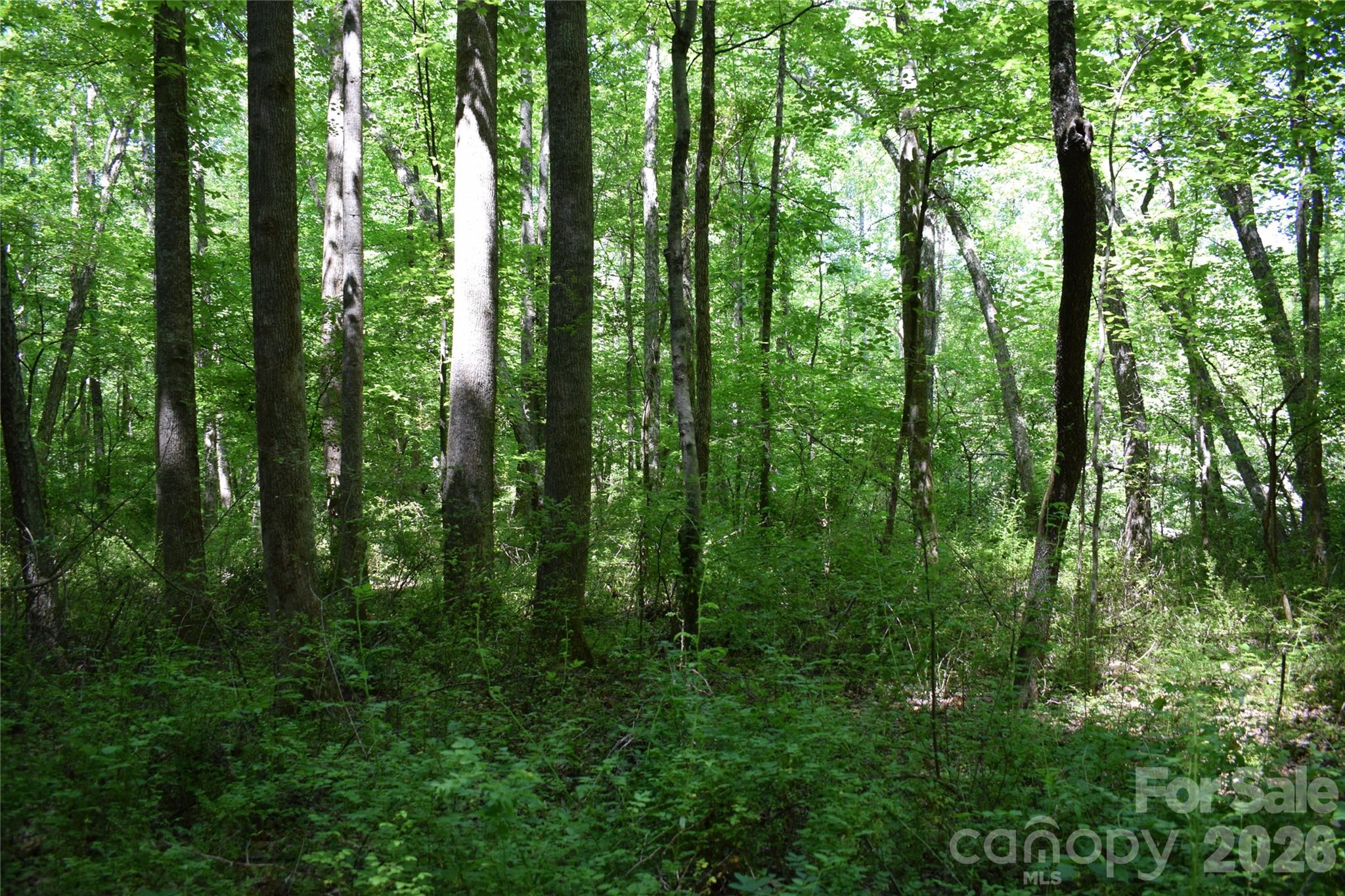 Acreage at 0 Floyd Blackwell Road, Tryon, photo 15 of 24