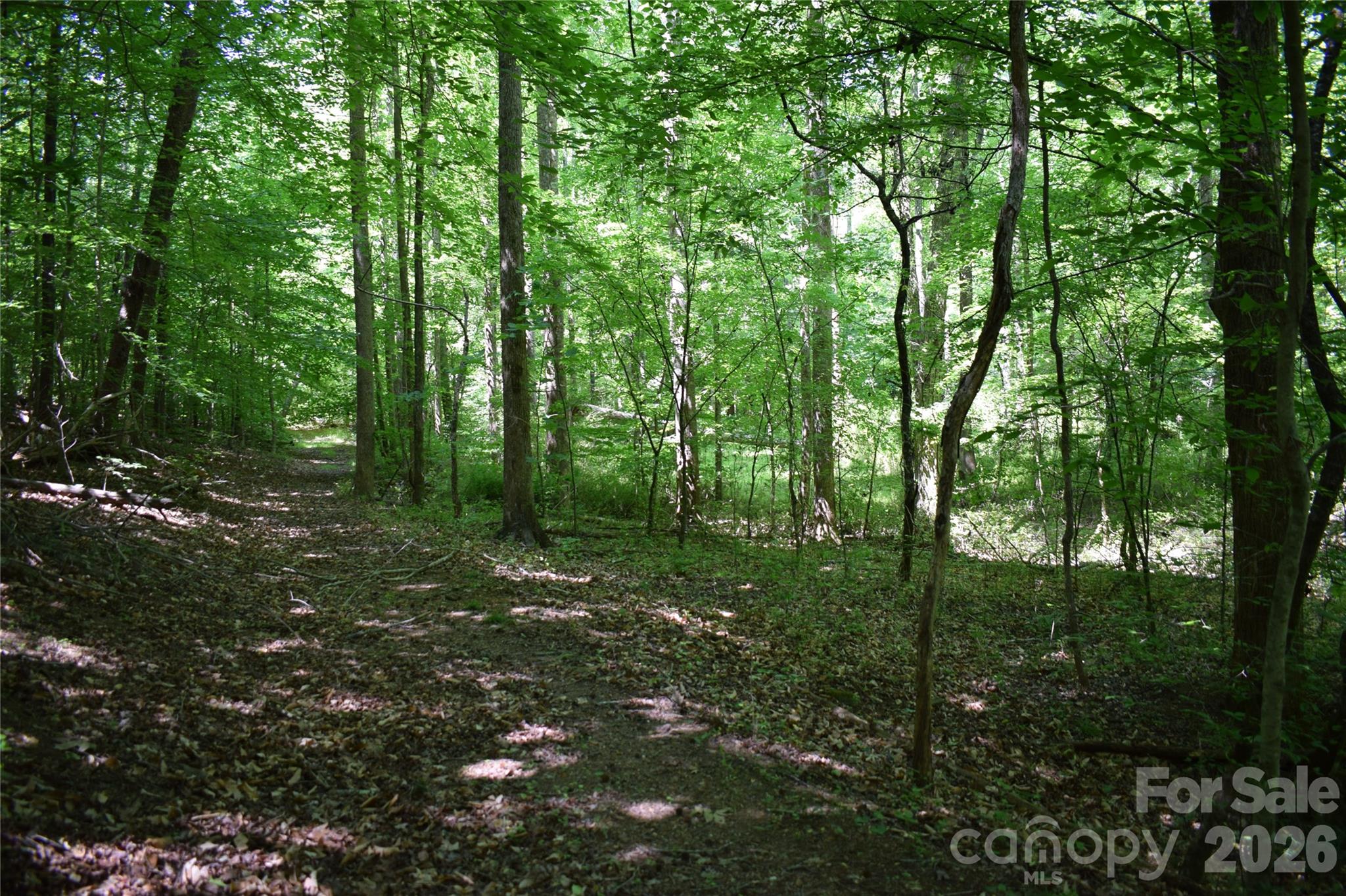 Acreage at 0 Floyd Blackwell Road, Tryon, photo 16 of 24