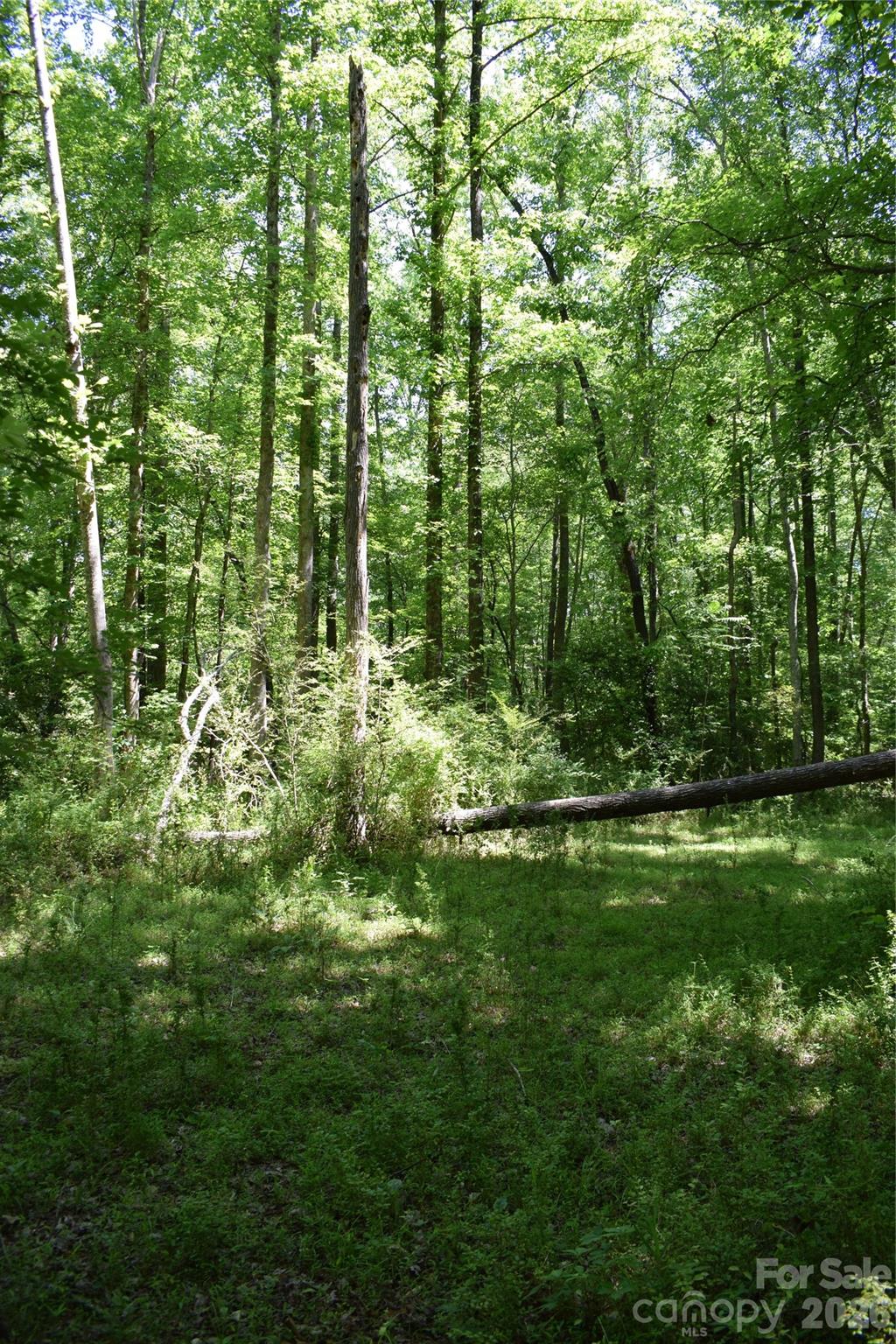 Acreage at 0 Floyd Blackwell Road, Tryon, photo 17 of 24