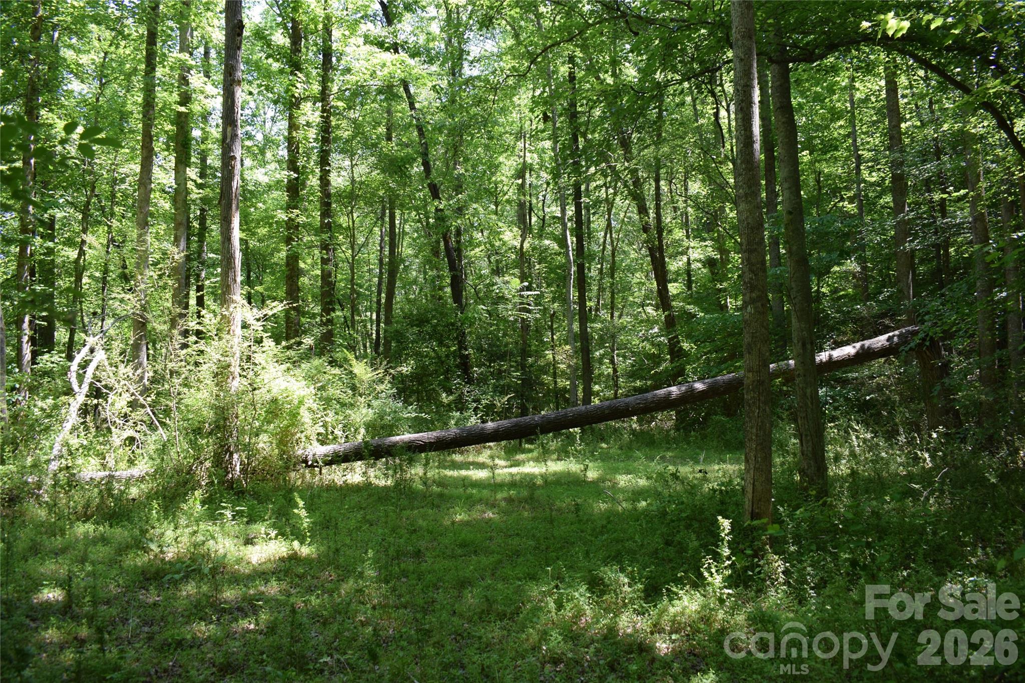 Acreage at 0 Floyd Blackwell Road, Tryon, photo 18 of 24