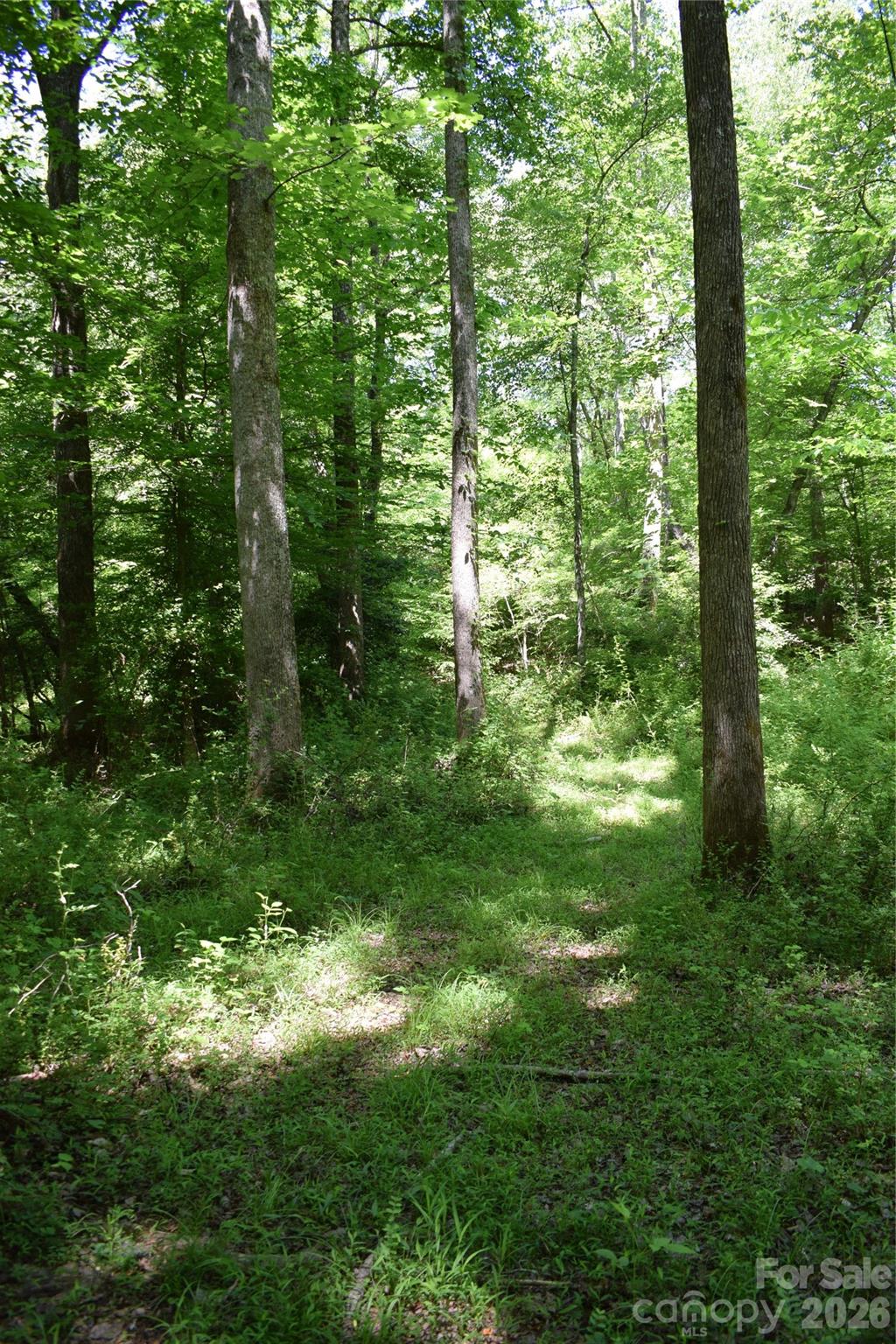 Acreage at 0 Floyd Blackwell Road, Tryon, photo 19 of 24