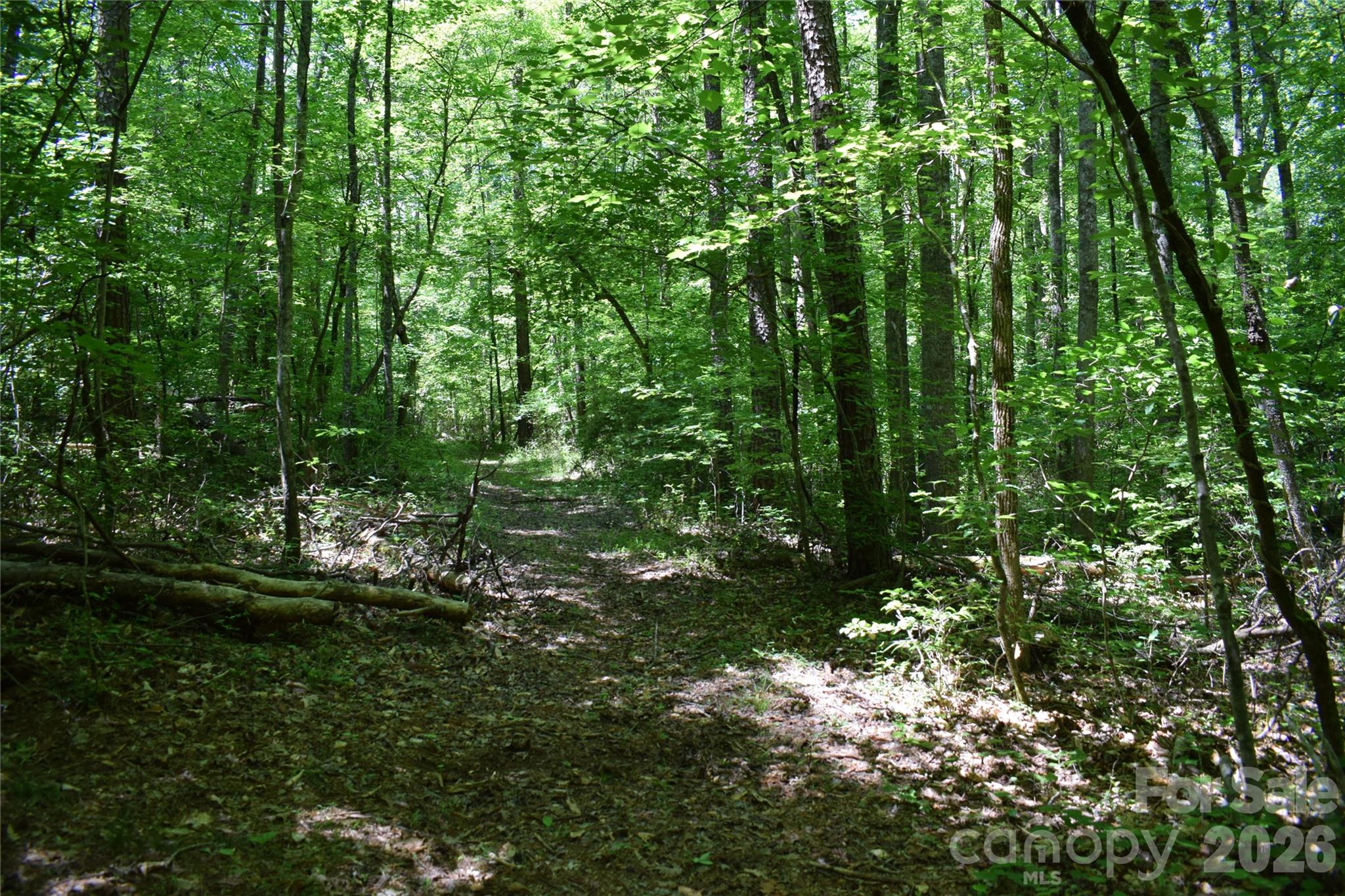Acreage at 0 Floyd Blackwell Road, Tryon, photo 20 of 24