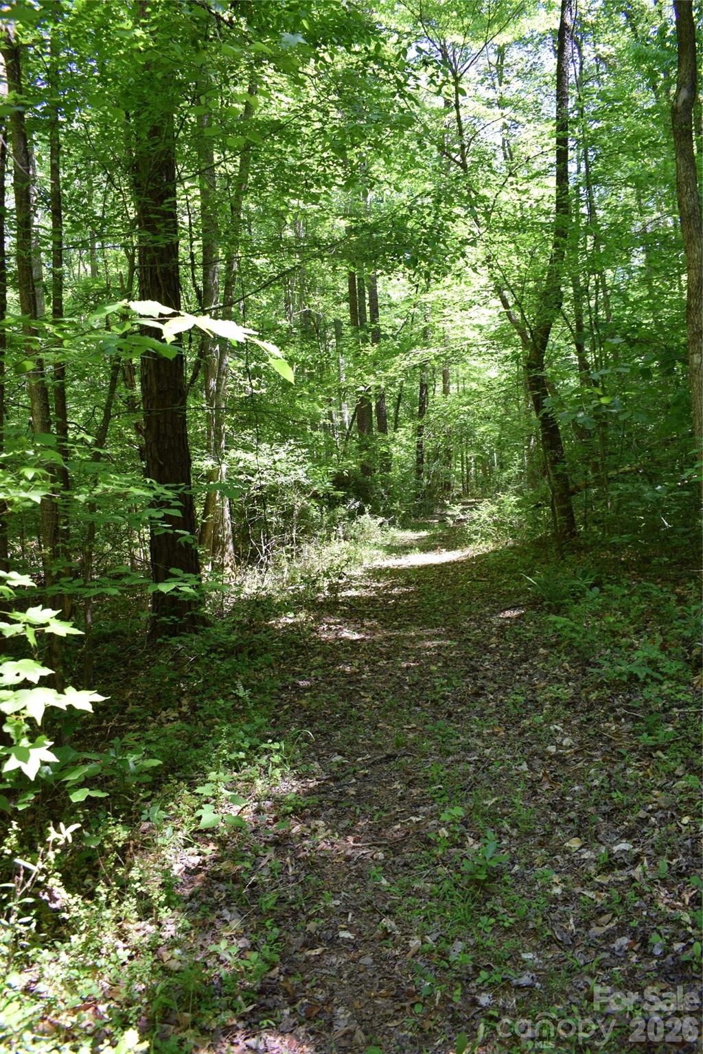 Acreage at 0 Floyd Blackwell Road, Tryon, photo 22 of 24