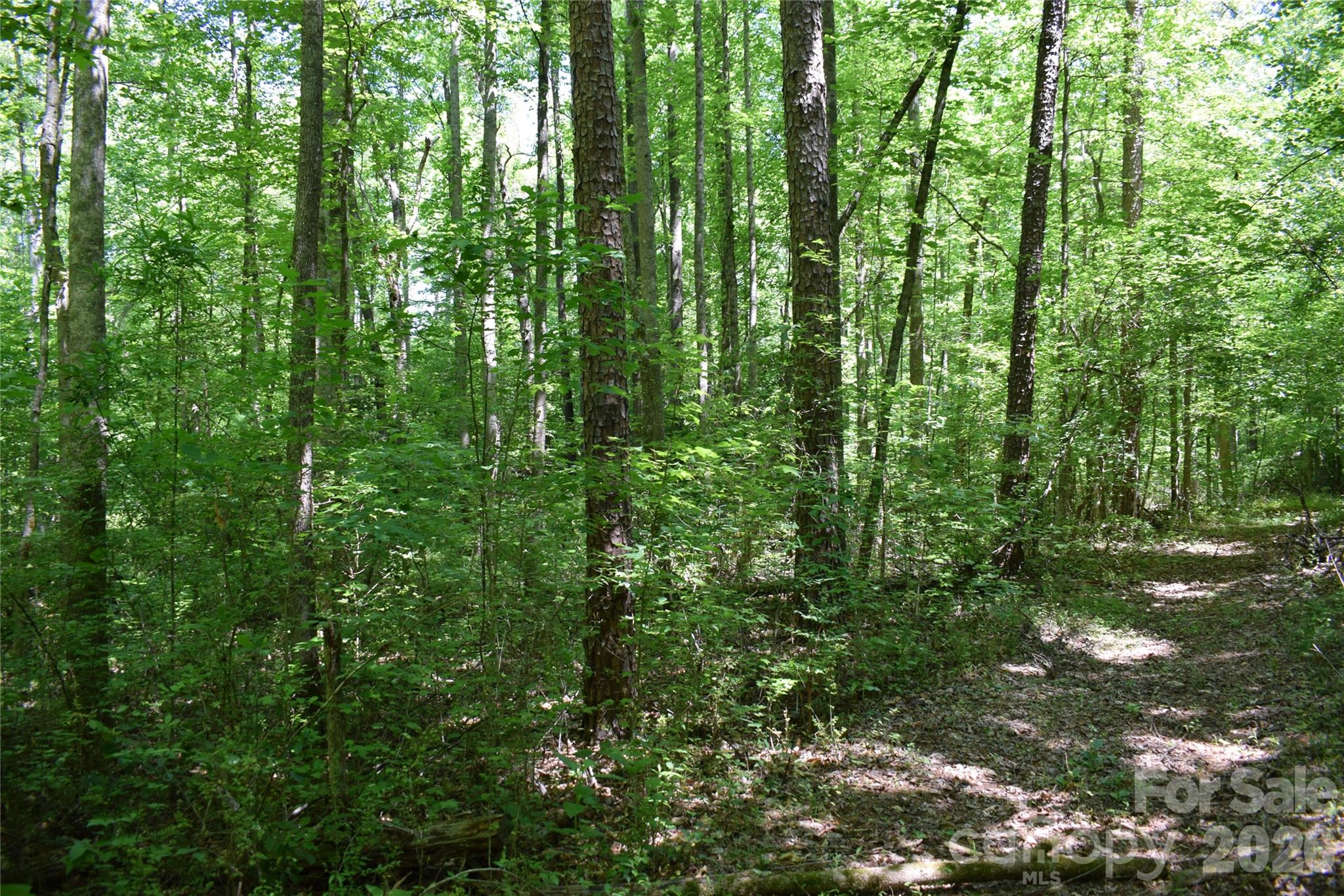 Acreage at 0 Floyd Blackwell Road, Tryon, photo 23 of 24