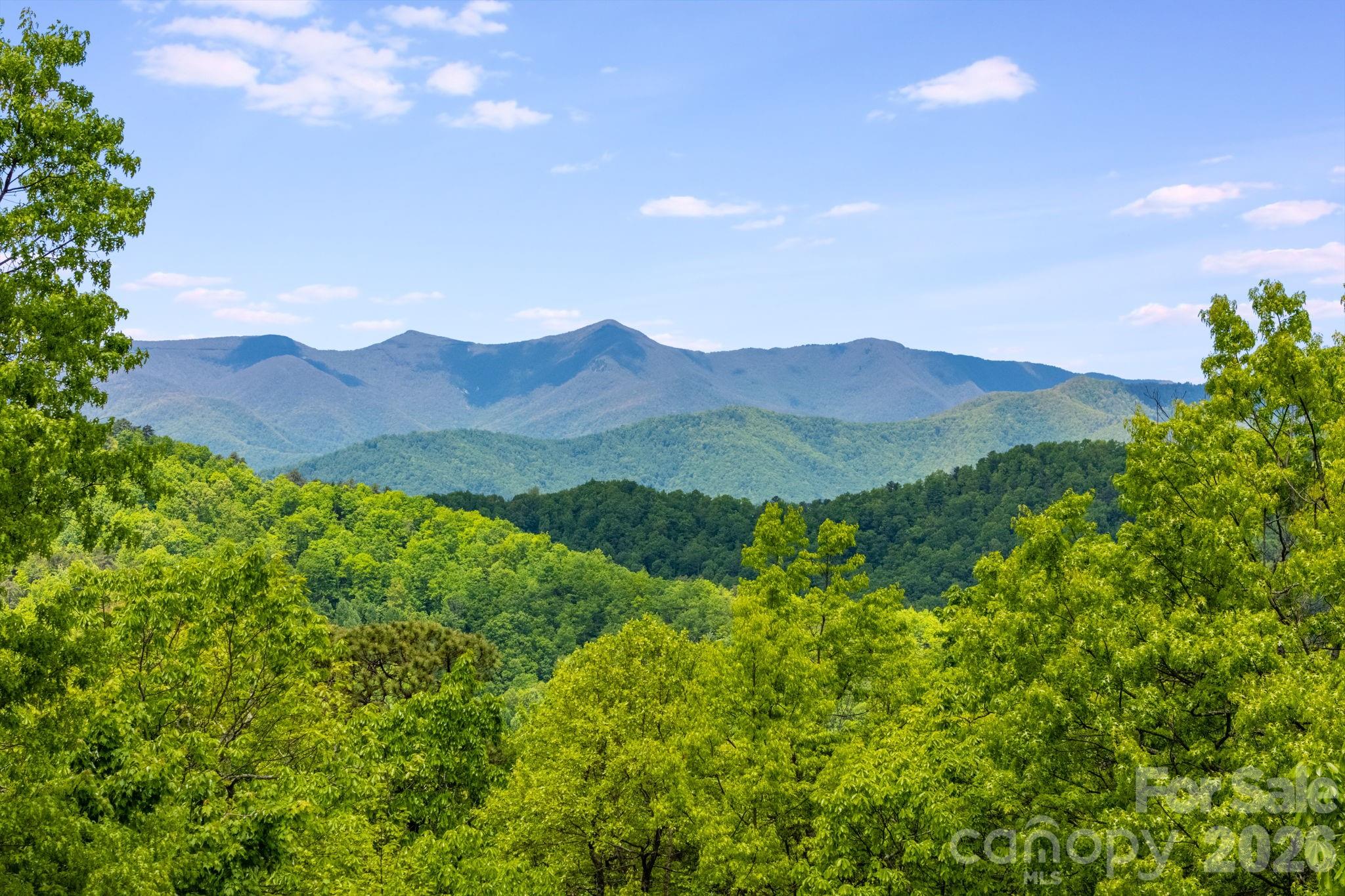 View From Back Porch - 1659 High Rock Acres Drive, Black Mountain
