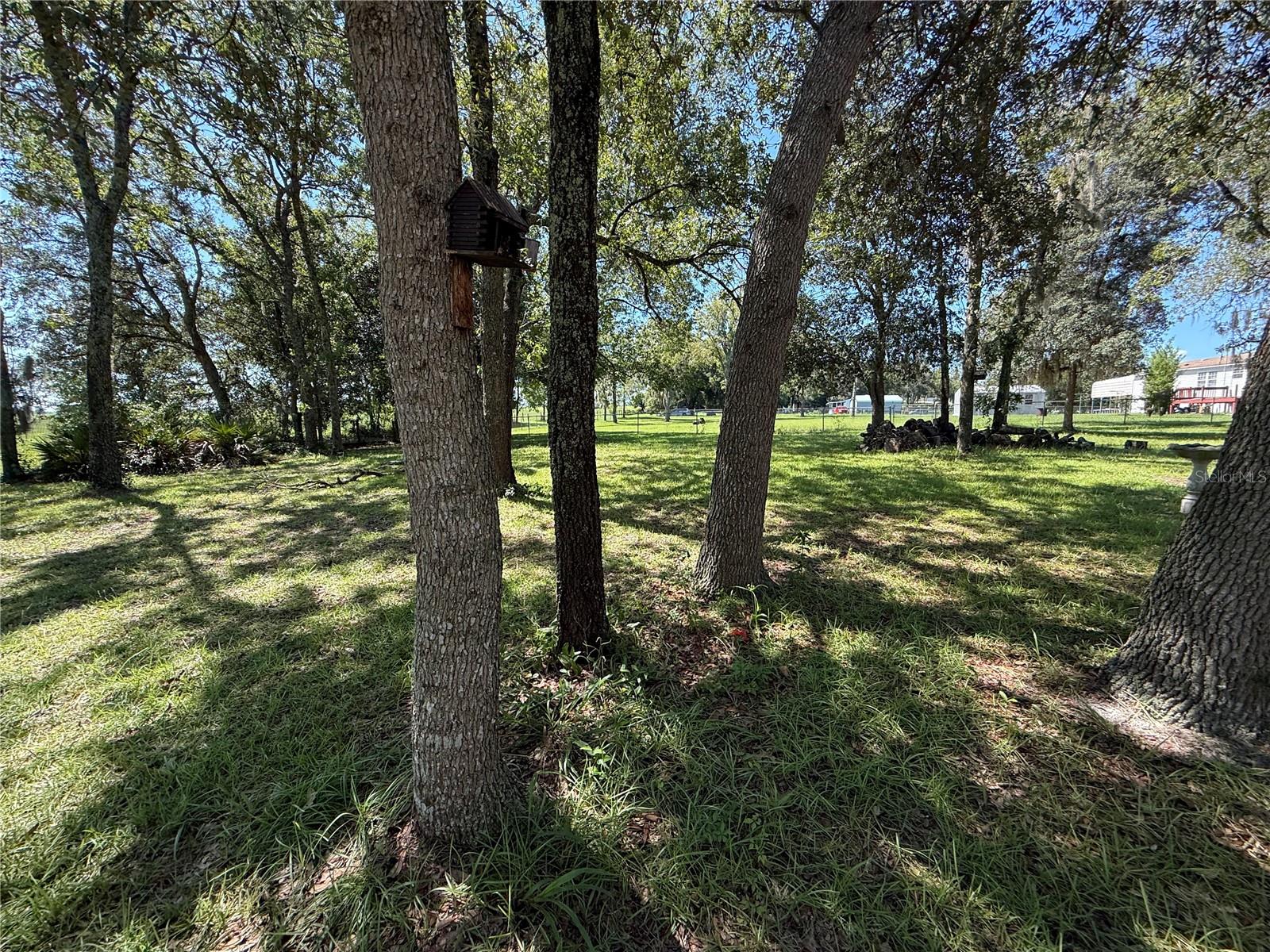 Manufactured Home at 6555 SW 165TH CT, OCALA, photo 39 of 44