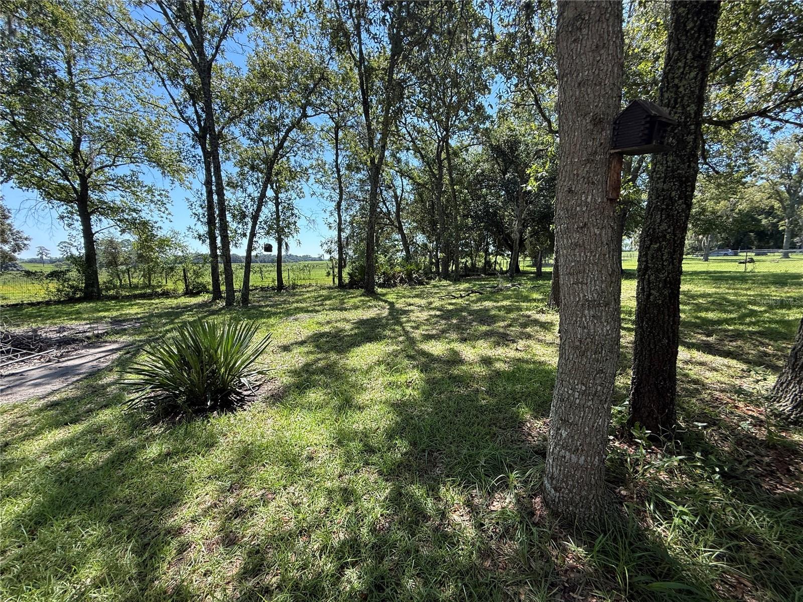 Manufactured Home at 6555 SW 165TH CT, OCALA, photo 40 of 44