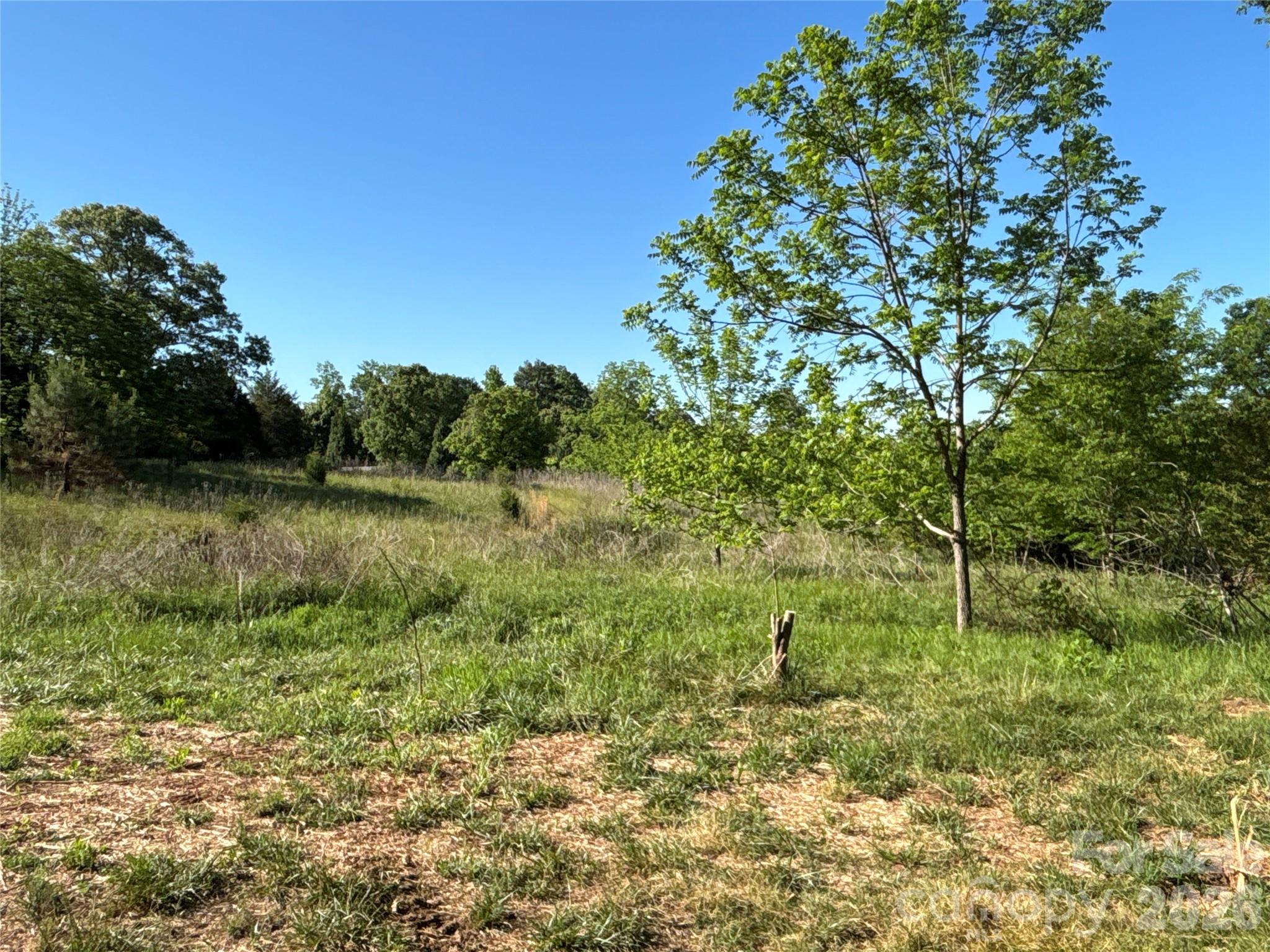 Open Area - 670 Talley Street, Troutman
